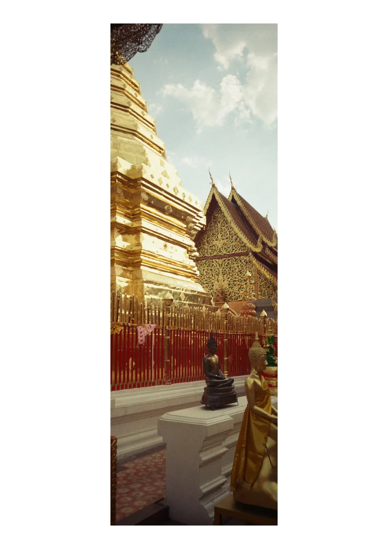 TEC-4-Photo & Multiples-Strollin'-202314.jpg