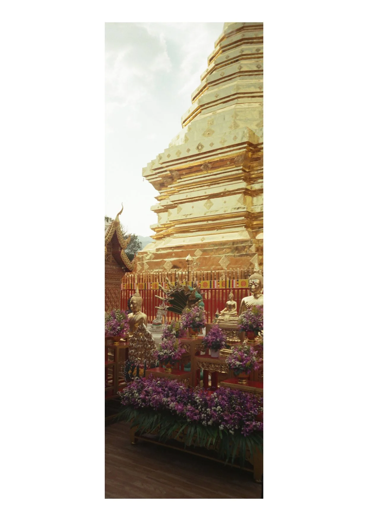 TEC-4-Photo & Multiples-Strollin'-202313.jpg