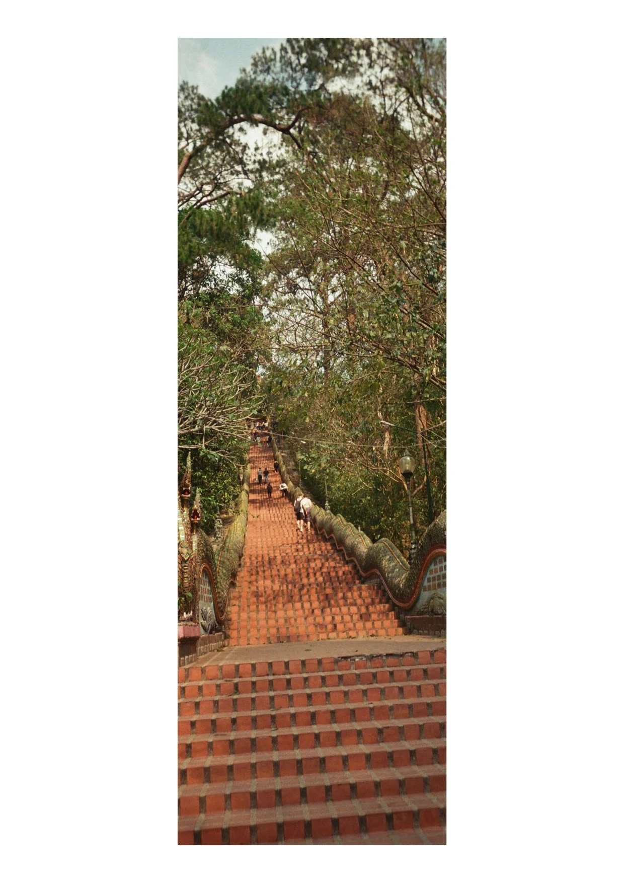 TEC-4-Photo & Multiples-Strollin'-202316.jpg