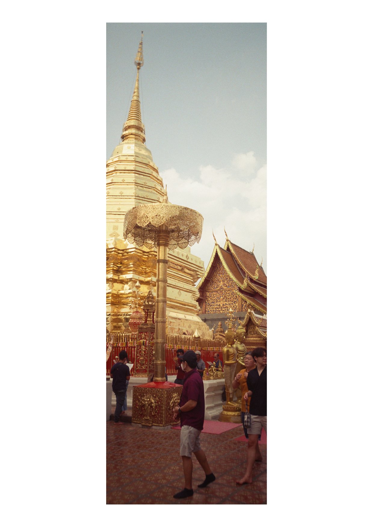 TEC-4-Photo & Multiples-Strollin'-202315.jpg