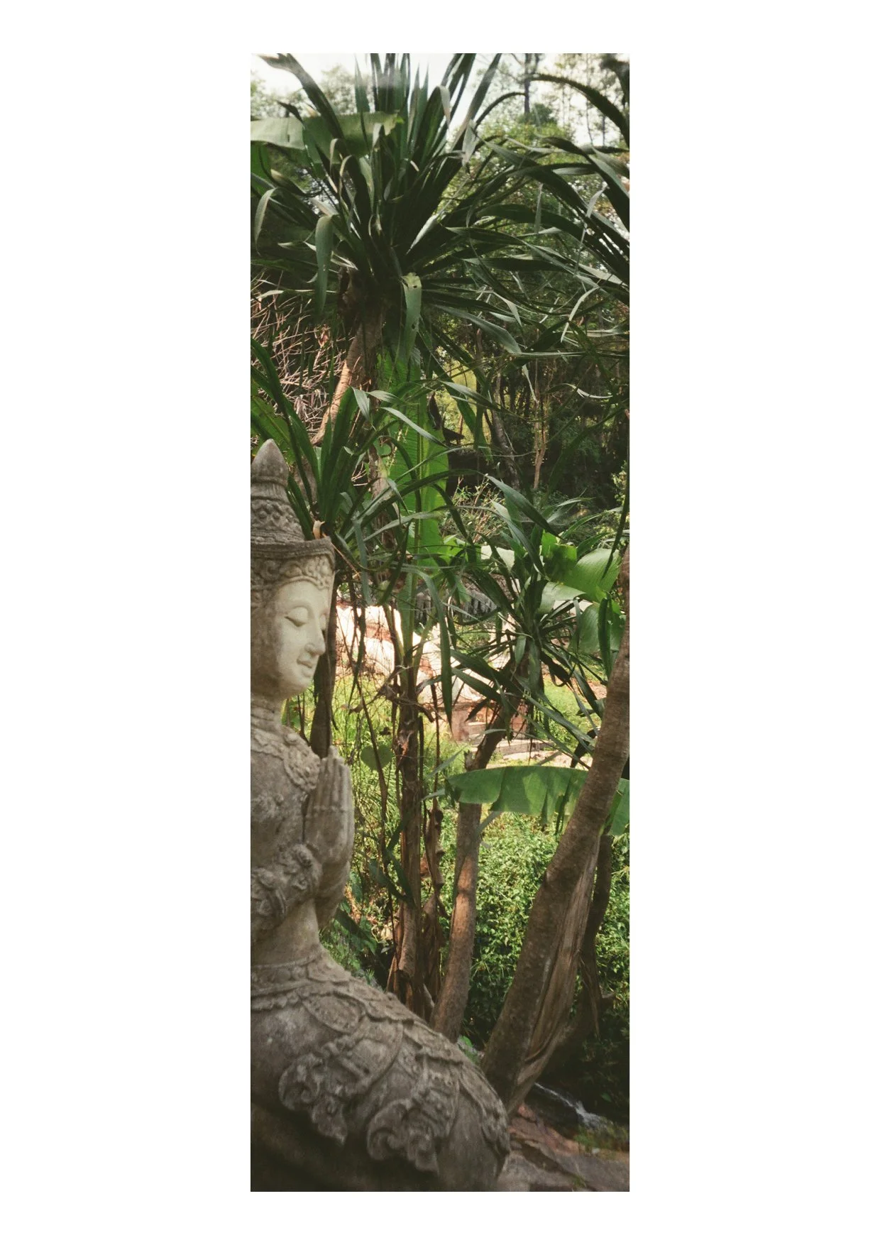 TEC-4-Photo & Multiples-Strollin'-202318.jpg