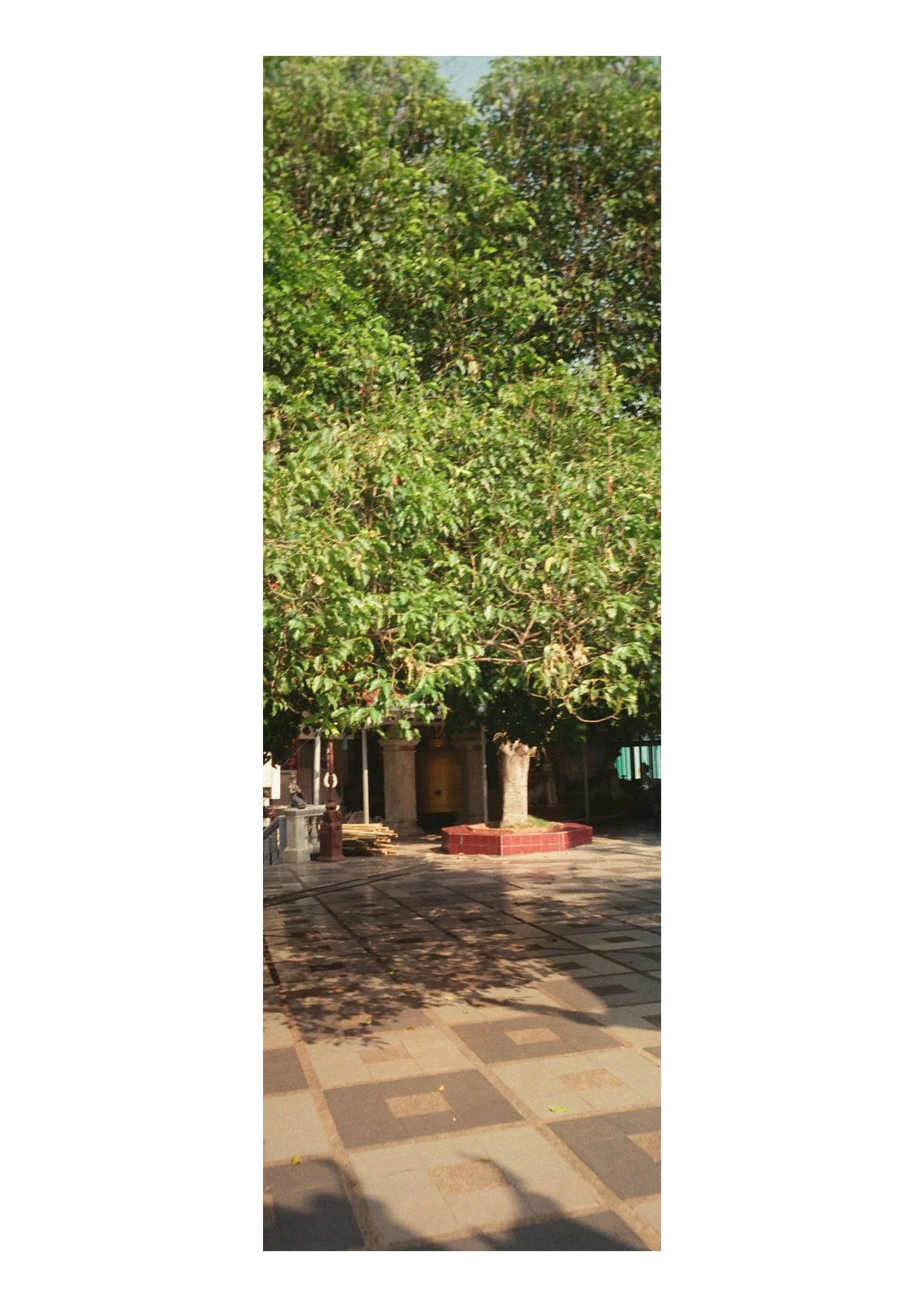 TEC-4-Photo & Multiples-Strollin'-202325.jpg