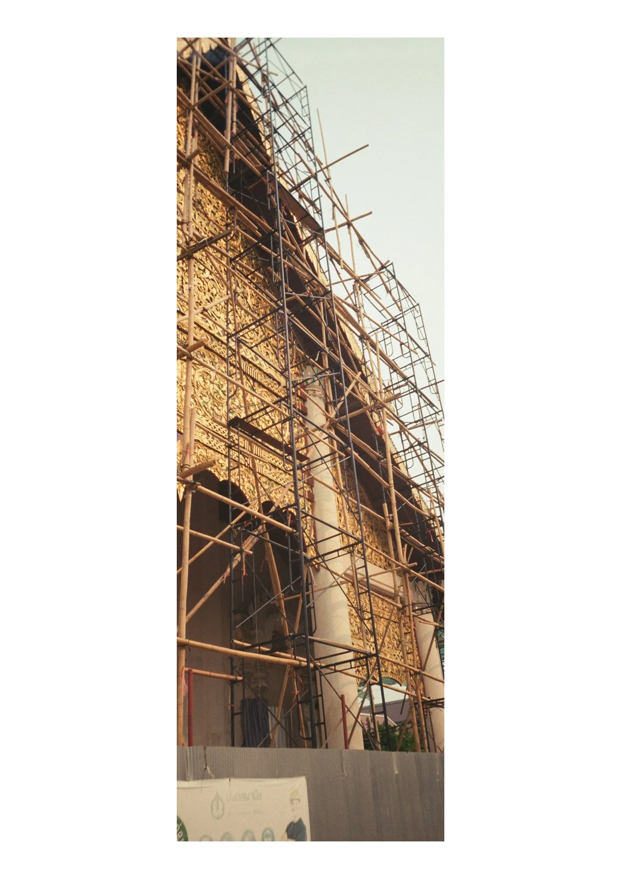 TEC-4-Photo & Multiples-Strollin'-202328.jpg