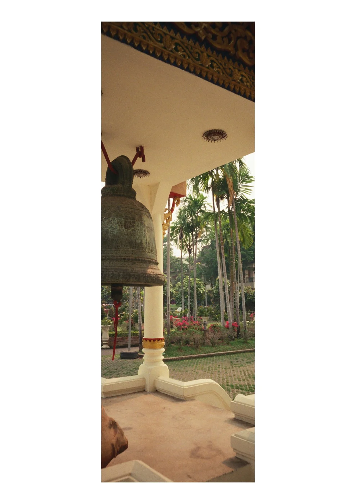 TEC-4-Photo & Multiples-Strollin'-202330.jpg