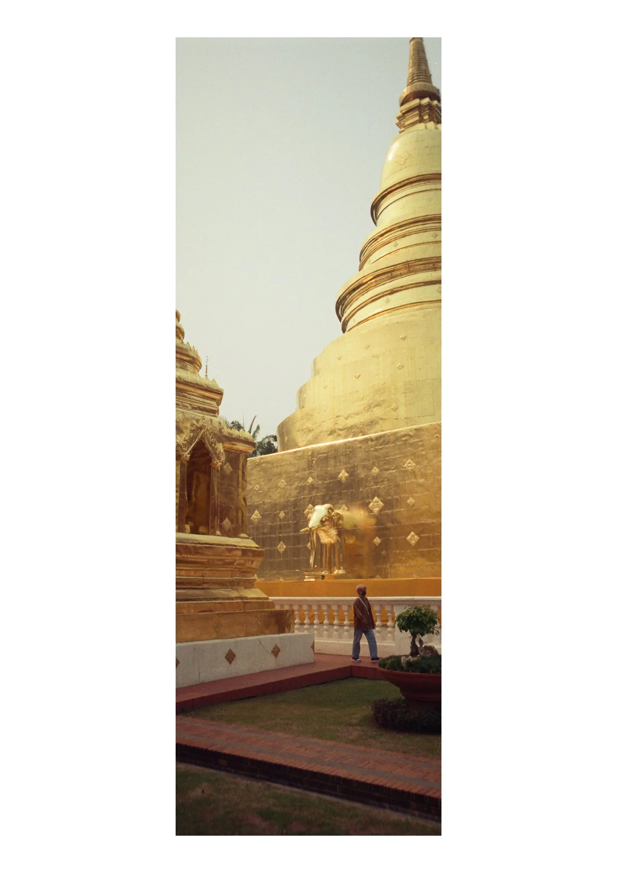 TEC-4-Photo & Multiples-Strollin'-202331.jpg