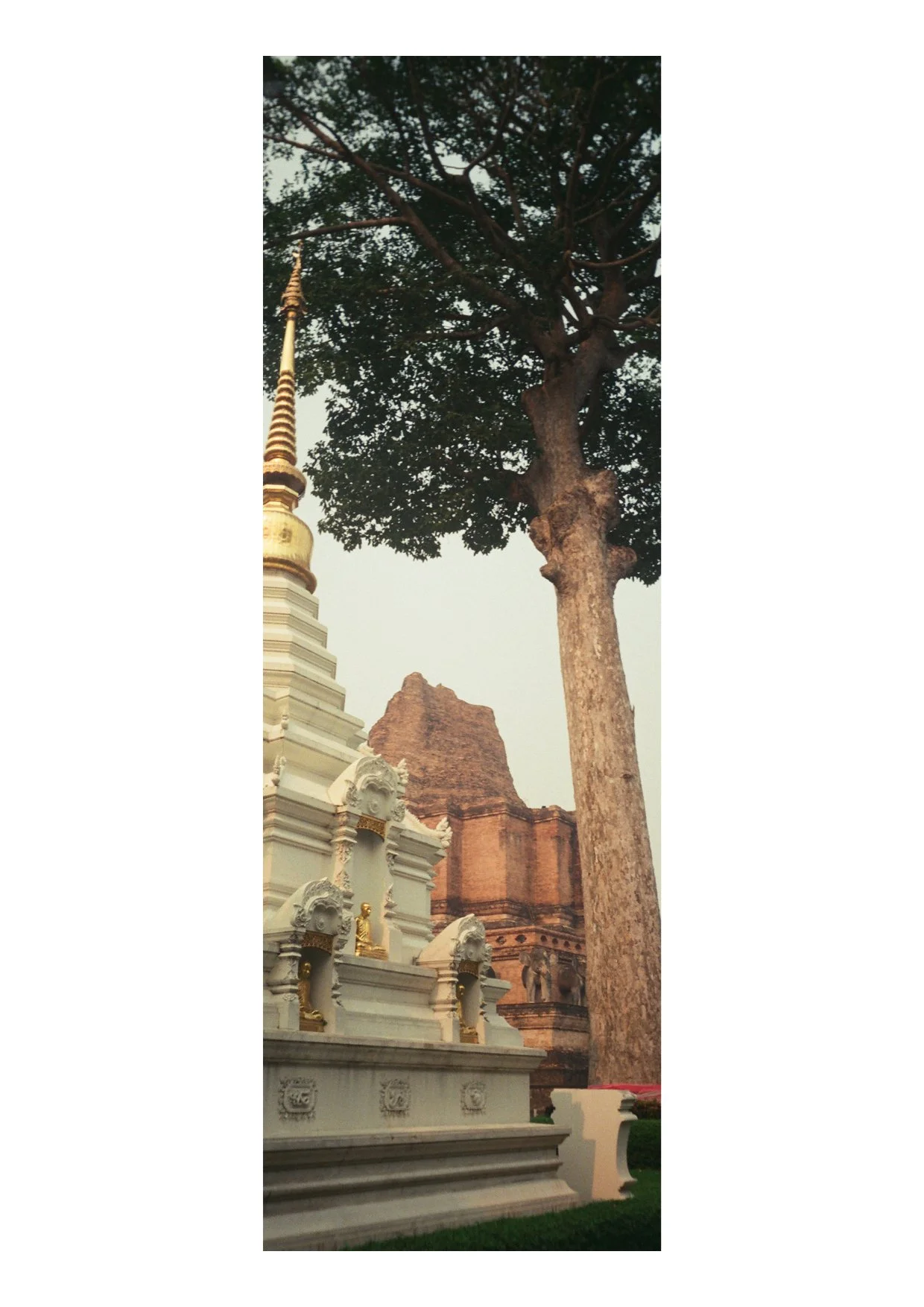 TEC-4-Photo & Multiples-Strollin'-202335.jpg