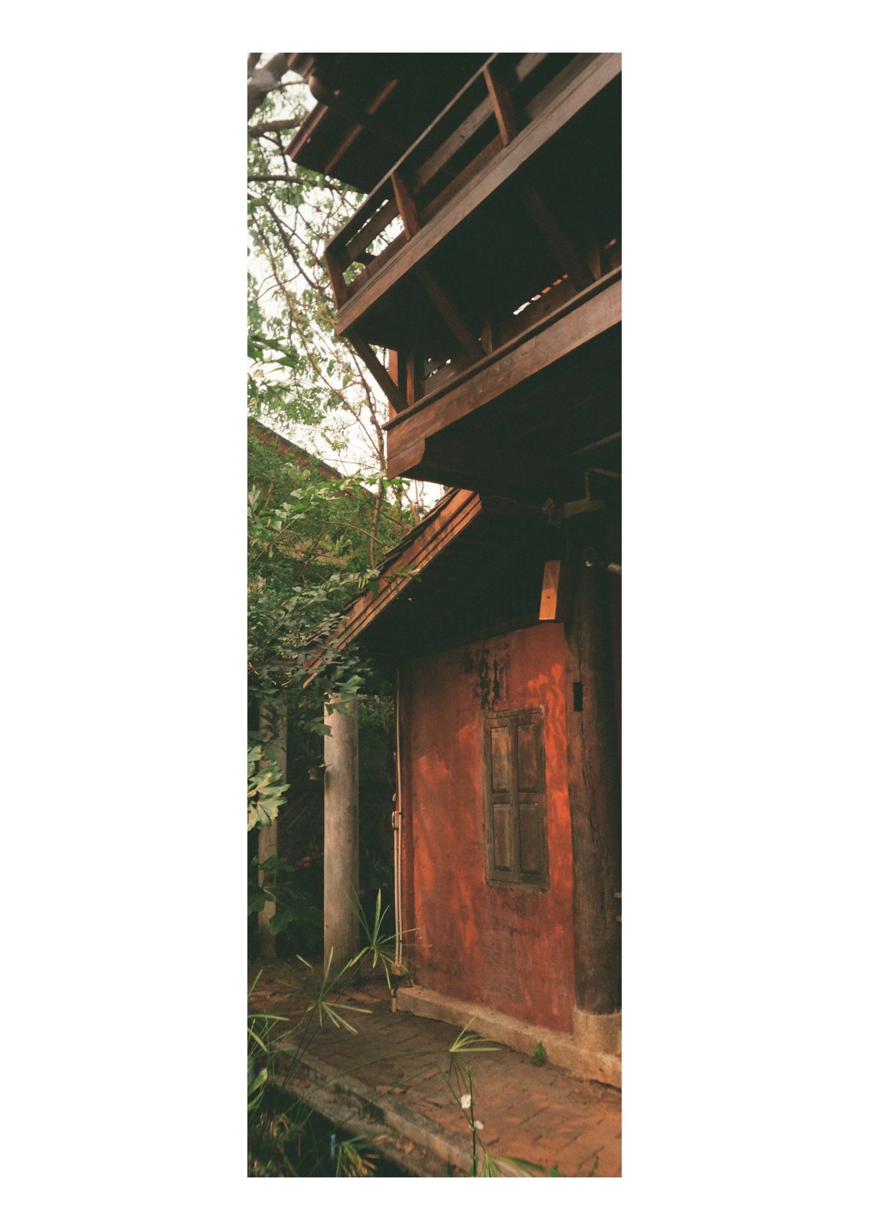 TEC-4-Photo & Multiples-Strollin'-202339.jpg