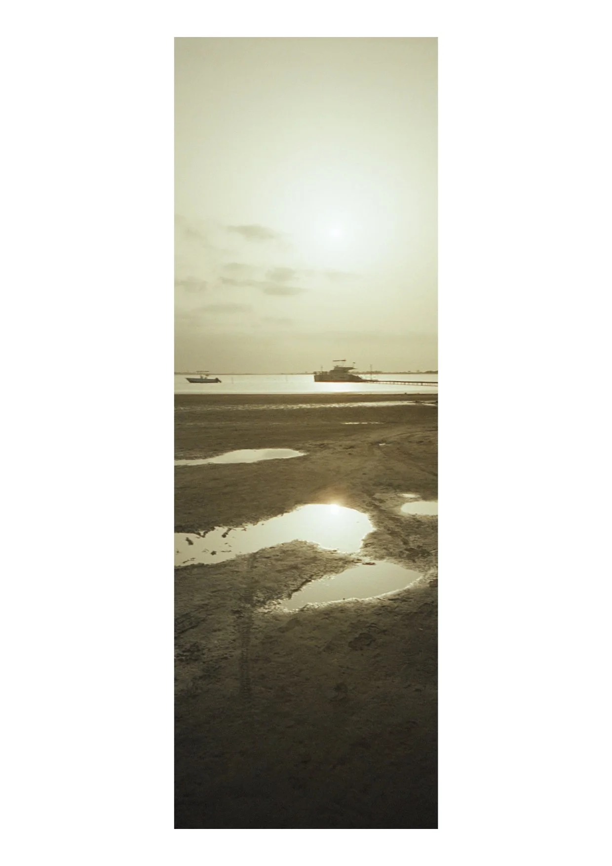 TEC-4-Photo & Multiples-Strollin'-202348.jpg