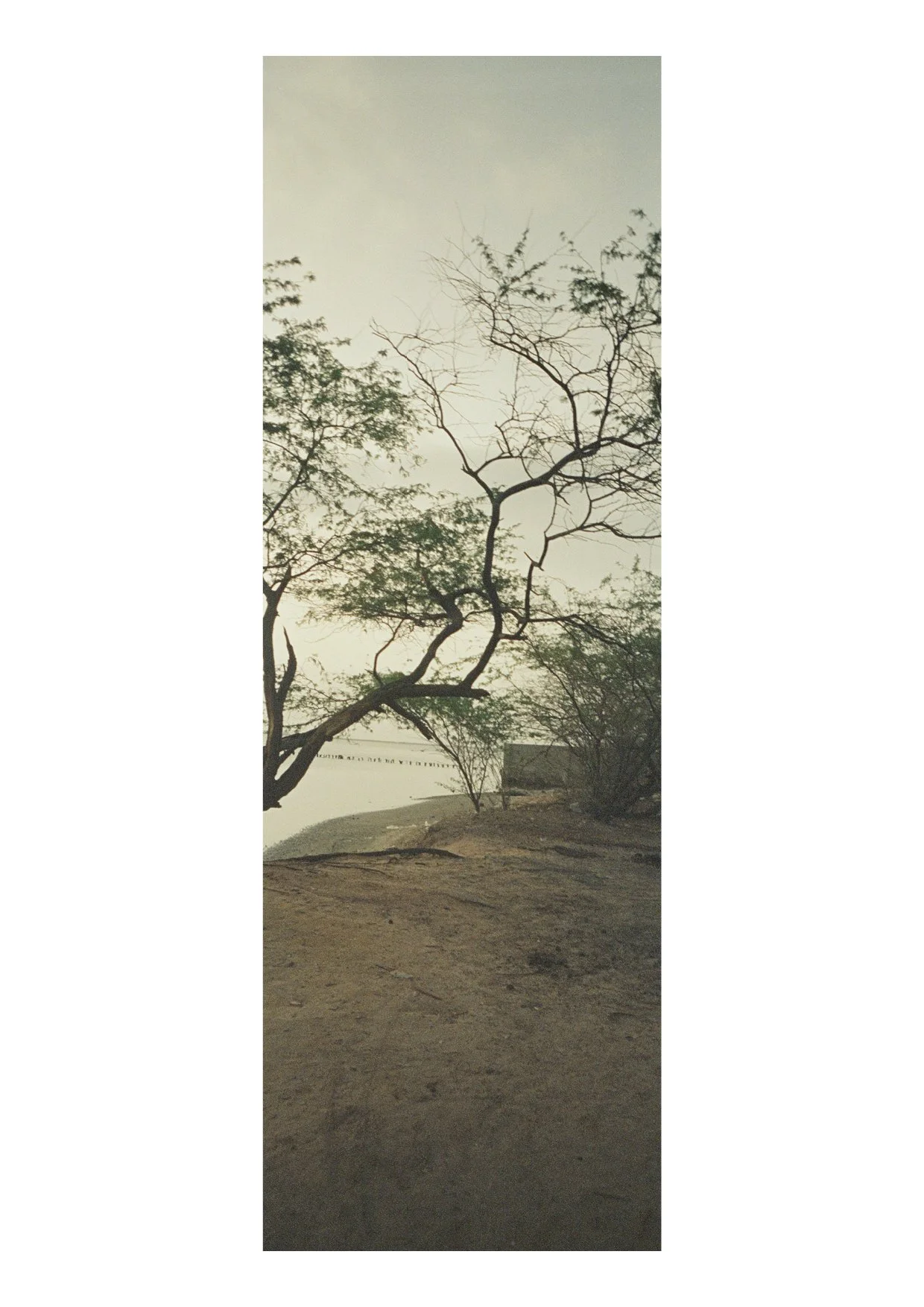 TEC-4-Photo & Multiples-Strollin'-202350.jpg