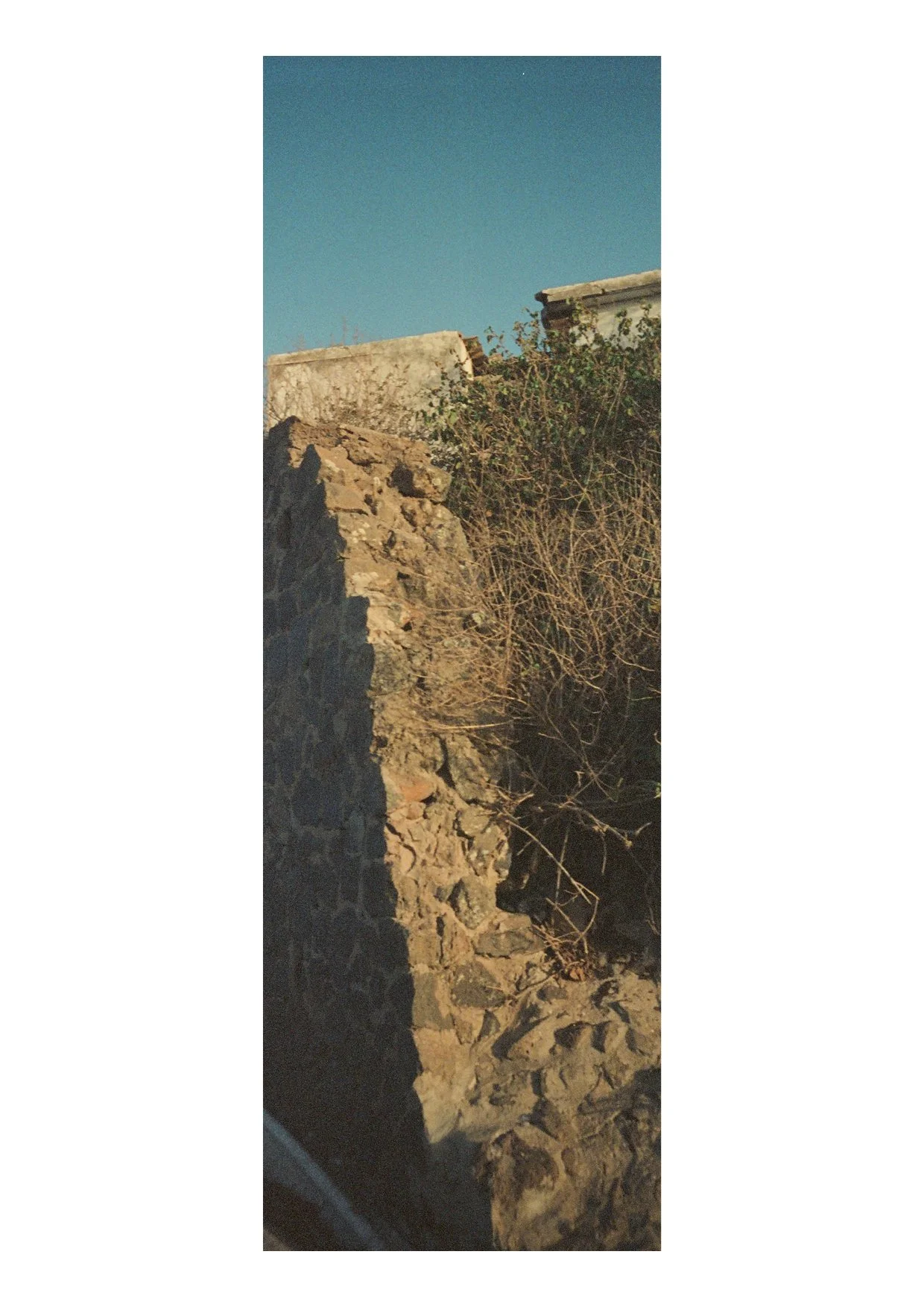 TEC-4-Photo & Multiples-Strollin'-202354.jpg