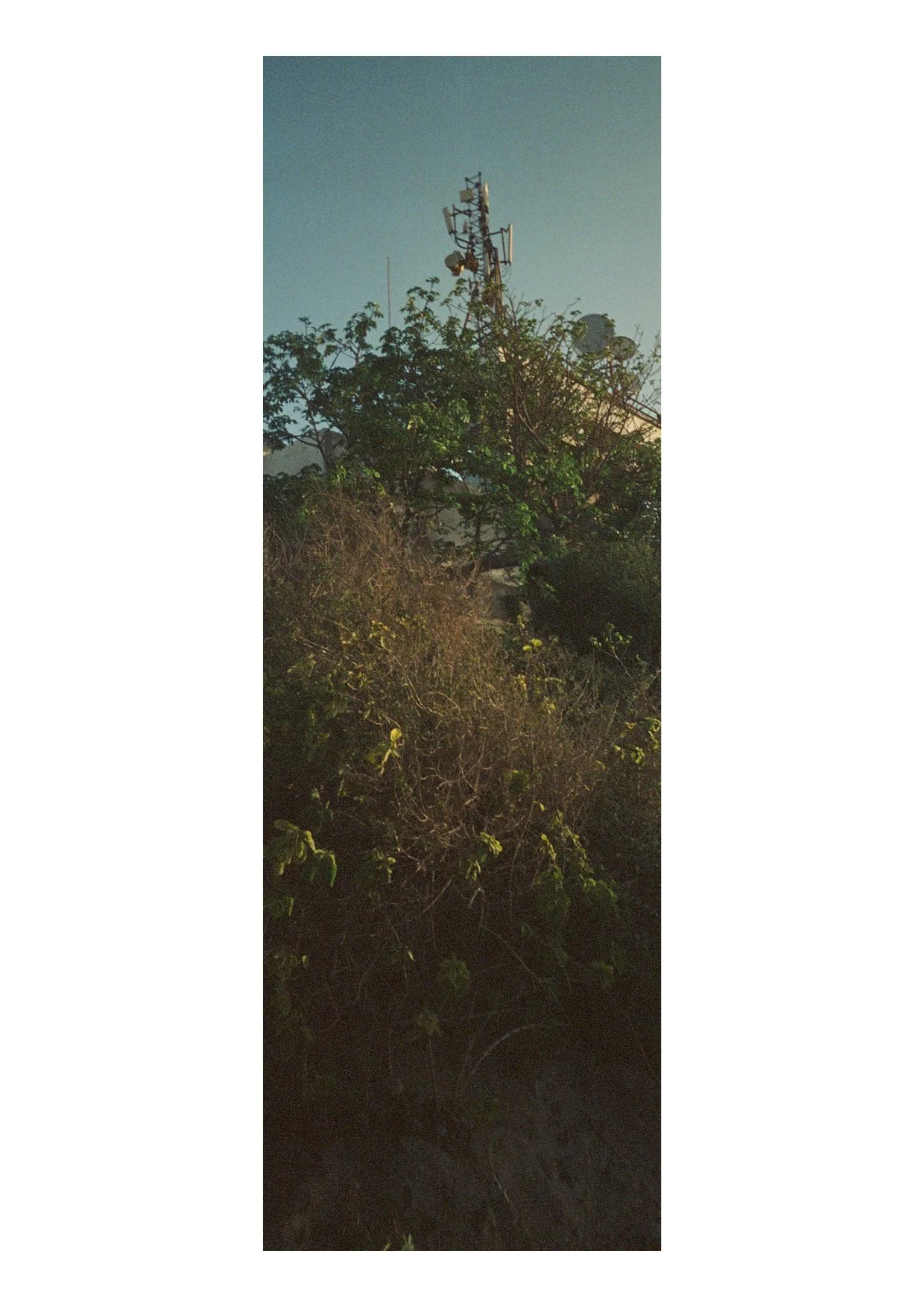 TEC-4-Photo & Multiples-Strollin'-202355.jpg