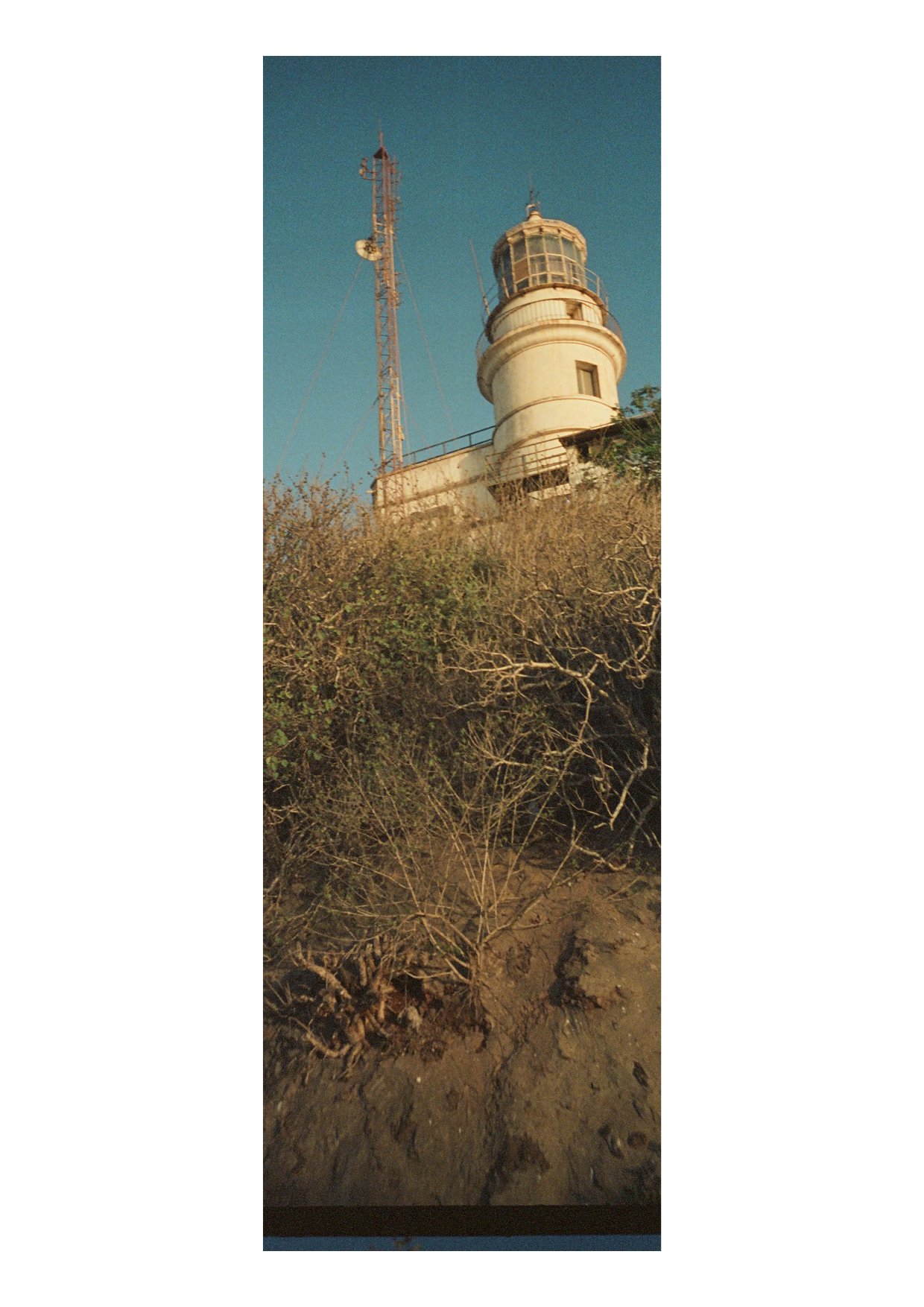 TEC-4-Photo & Multiples-Strollin'-202356.jpg