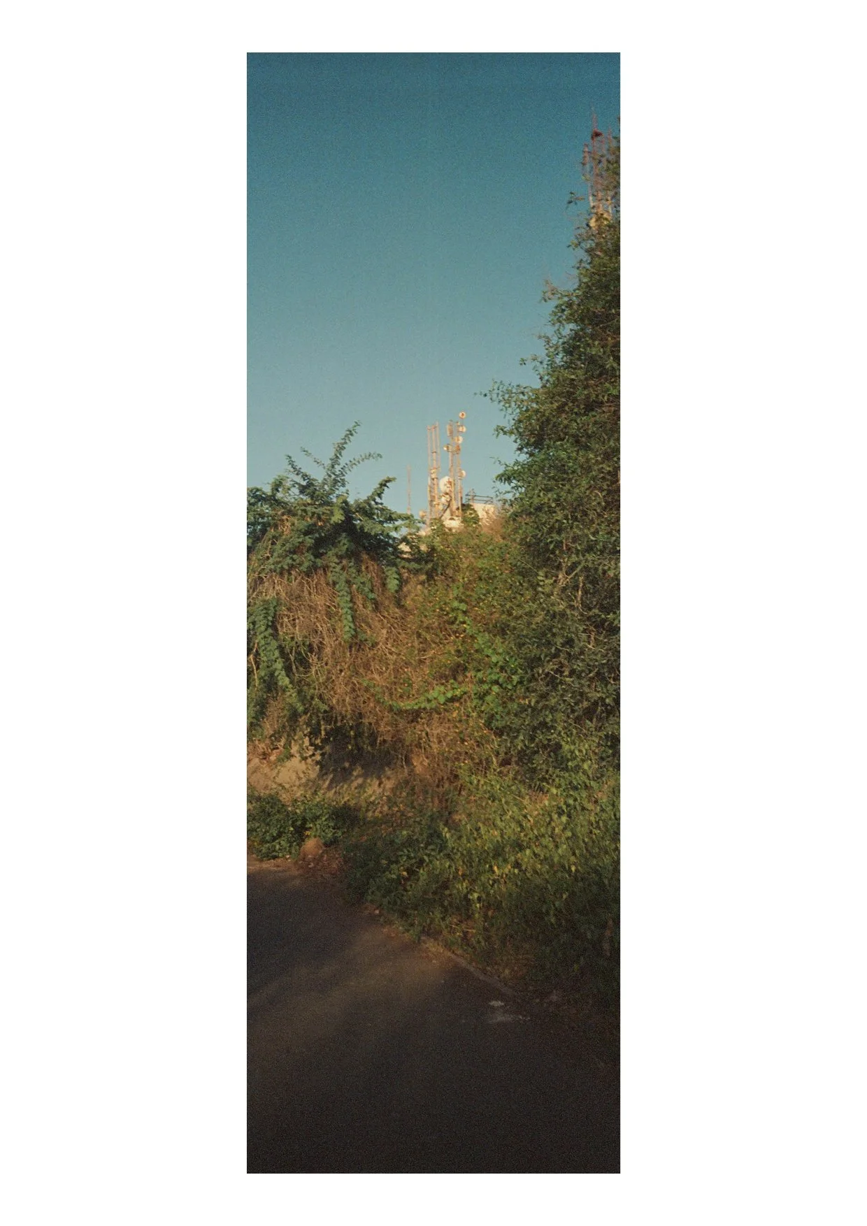 TEC-4-Photo & Multiples-Strollin'-202357.jpg