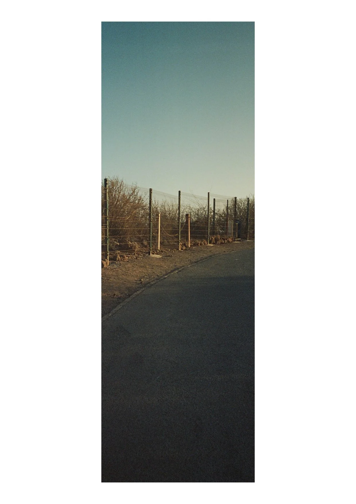 TEC-4-Photo & Multiples-Strollin'-202362.jpg