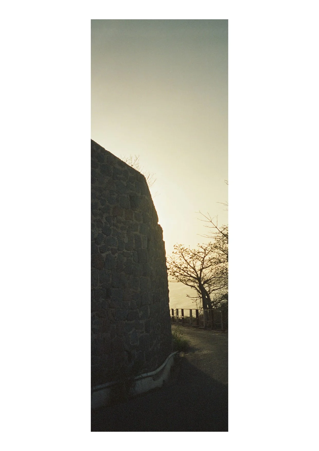 TEC-4-Photo & Multiples-Strollin'-202364.jpg