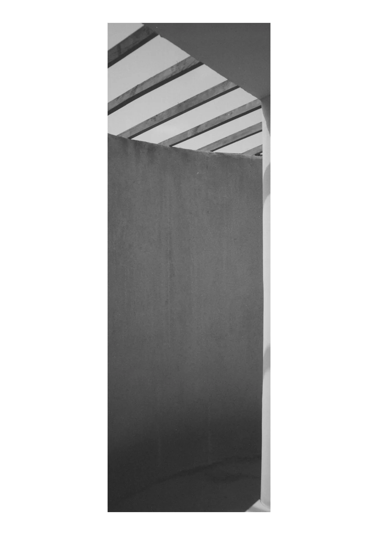 TEC-4-Photo & Multiples-Strollin'-202370.jpg