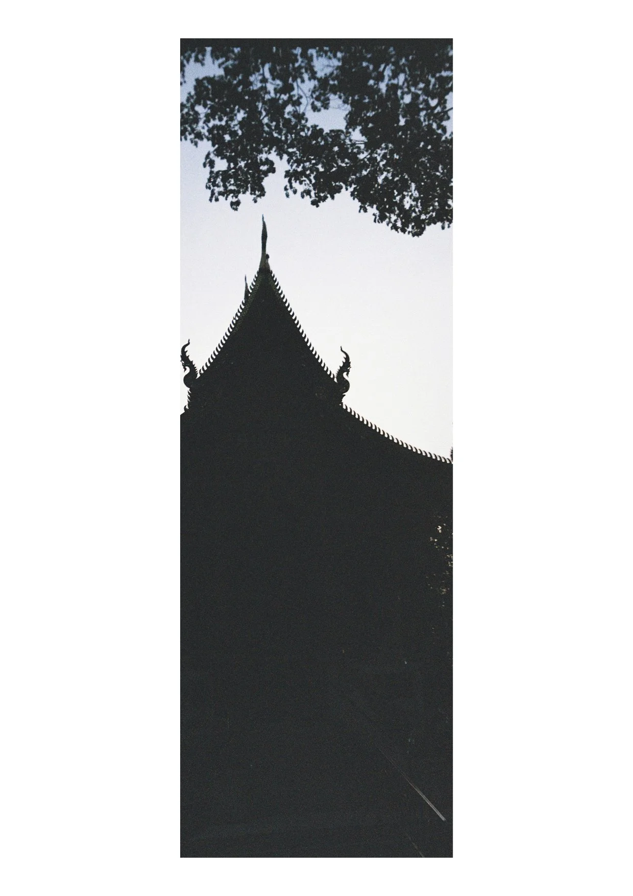 TEC-4-Photo & Multiples-Strollin'-202377.jpg