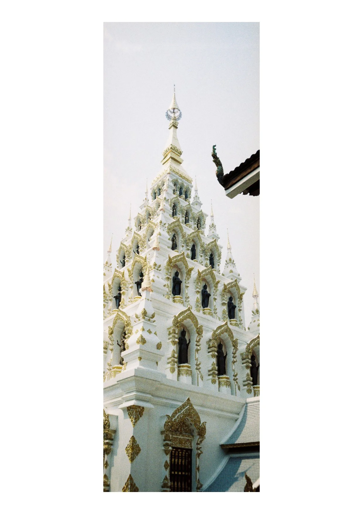 TEC-4-Photo & Multiples-Strollin'-202379.jpg