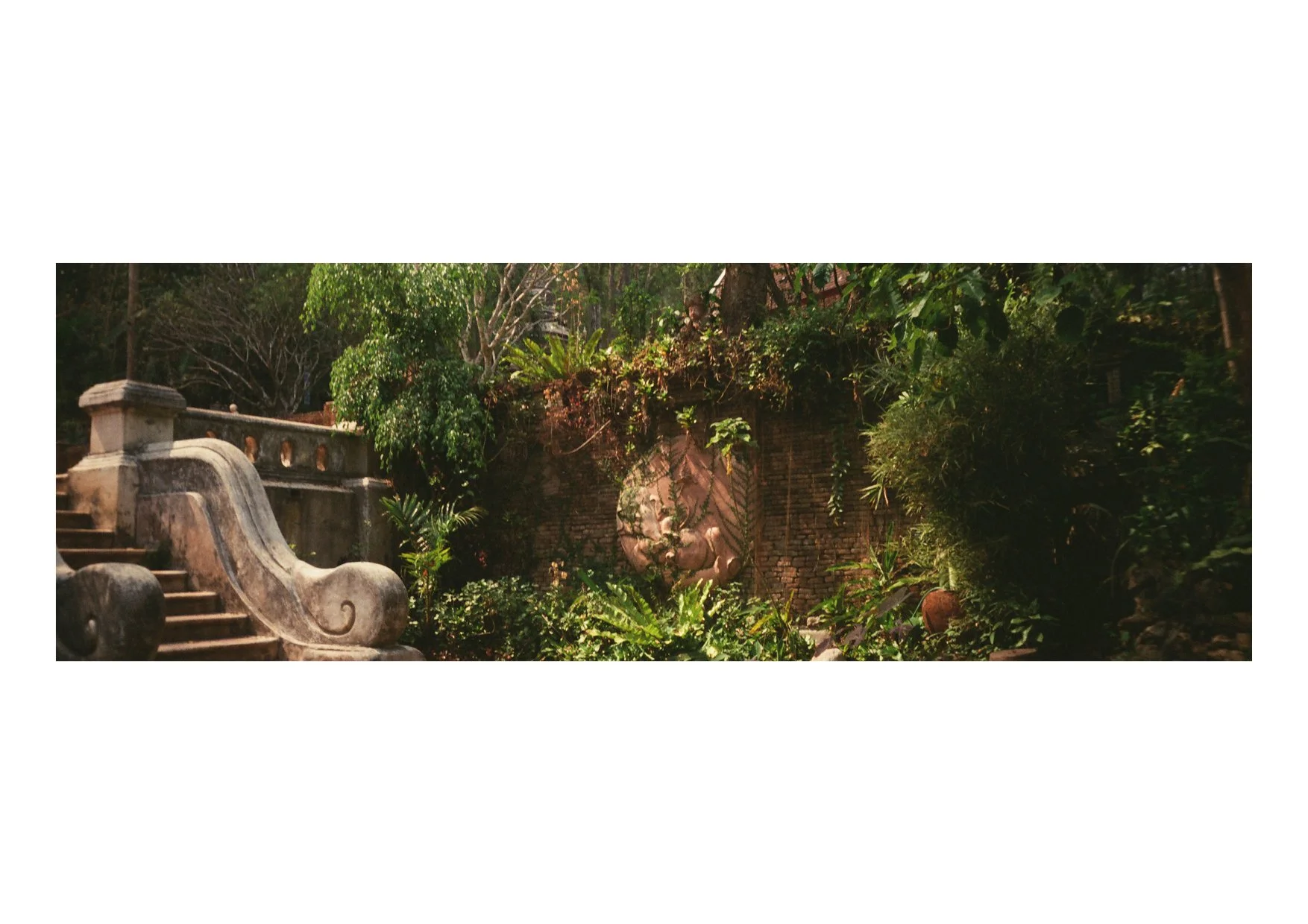 TEC-4-Photo & Multiples-Strollin'-202383.jpg