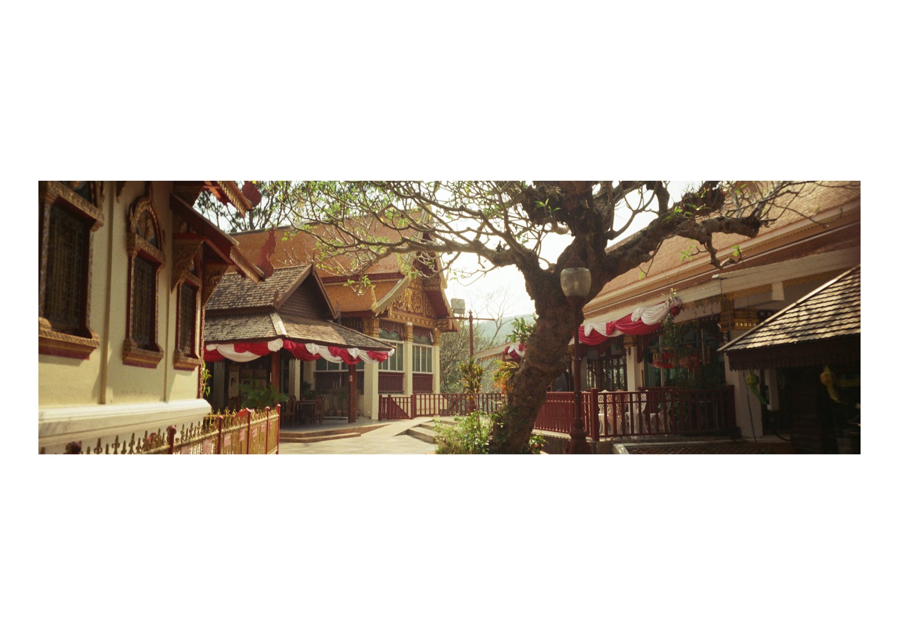 TEC-4-Photo & Multiples-Strollin'-202384.jpg