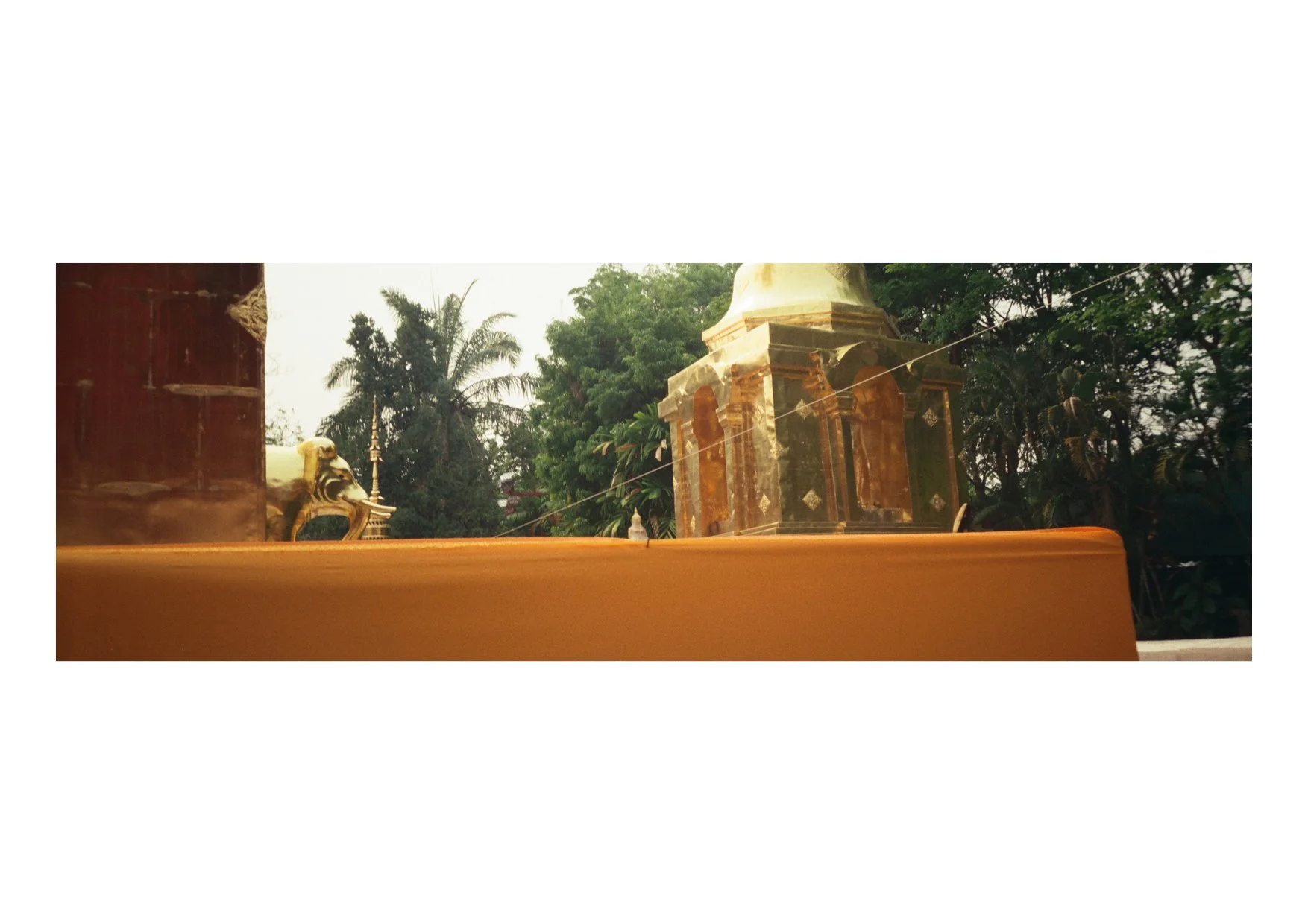 TEC-4-Photo & Multiples-Strollin'-202385.jpg