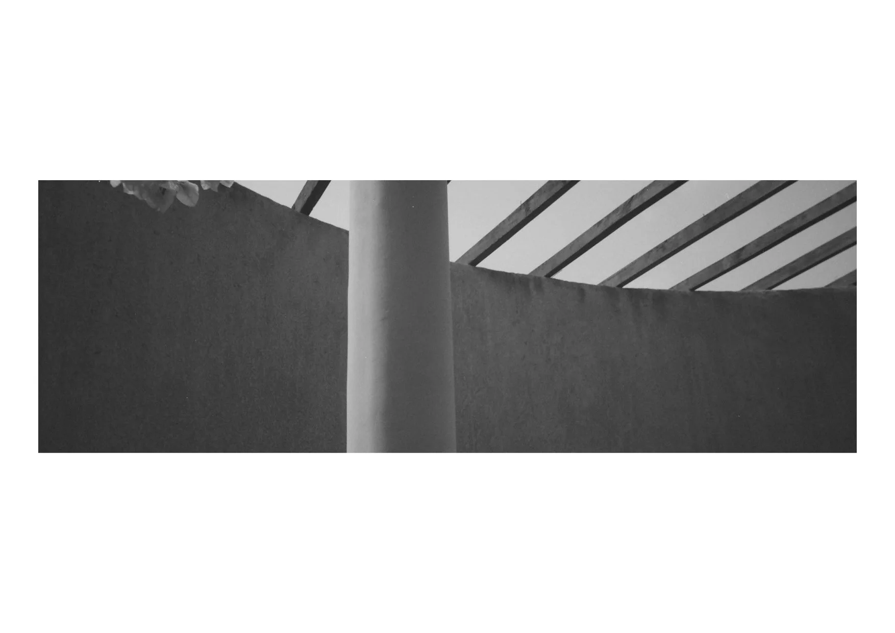 TEC-4-Photo & Multiples-Strollin'-202395.jpg