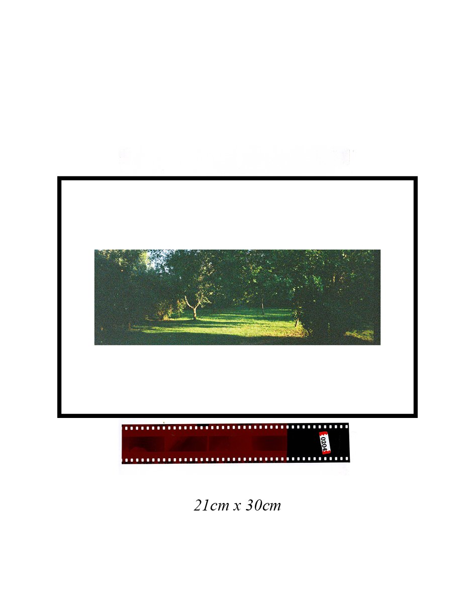 TEC-Communications-Sample-Website-Scale54.jpg