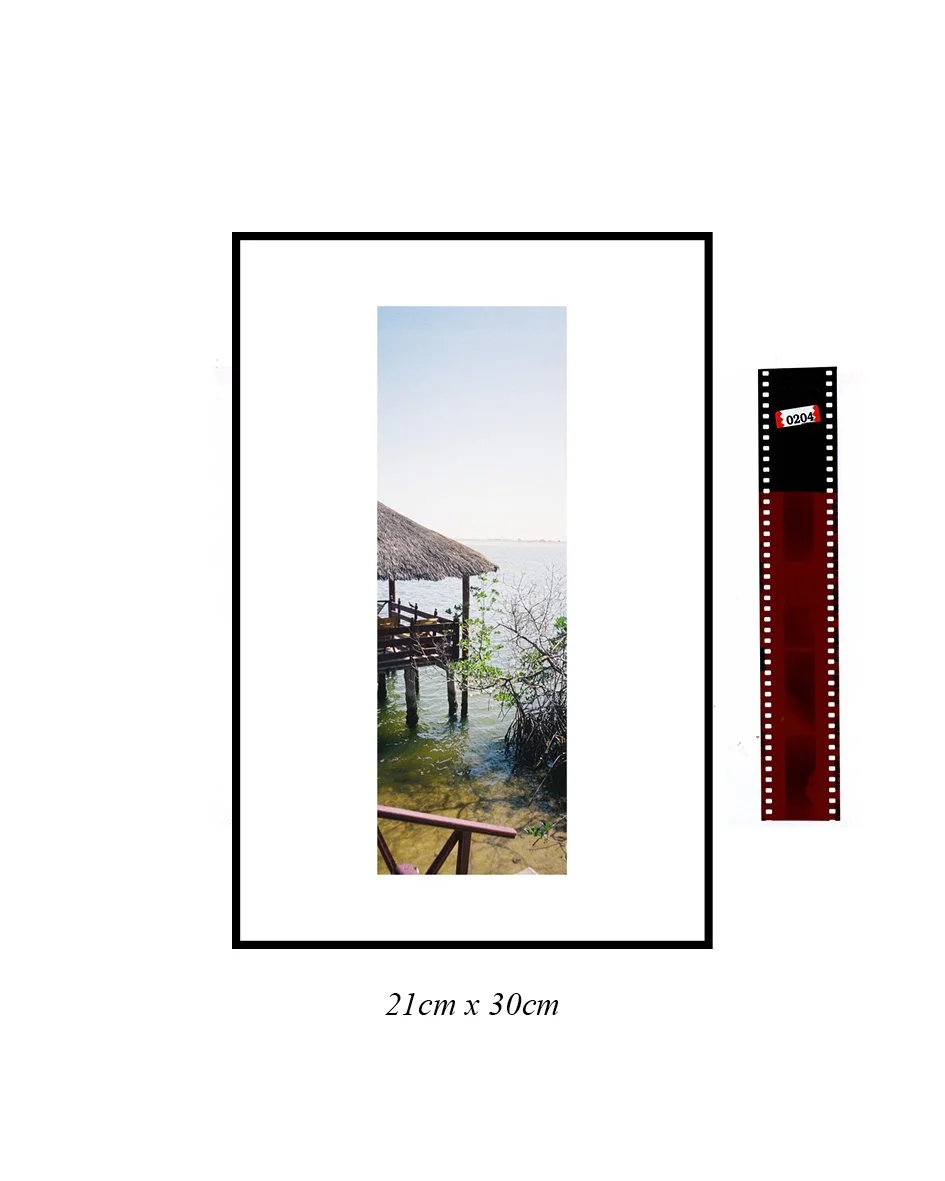 TEC-Communications-Sample-Website-Scale45.jpg