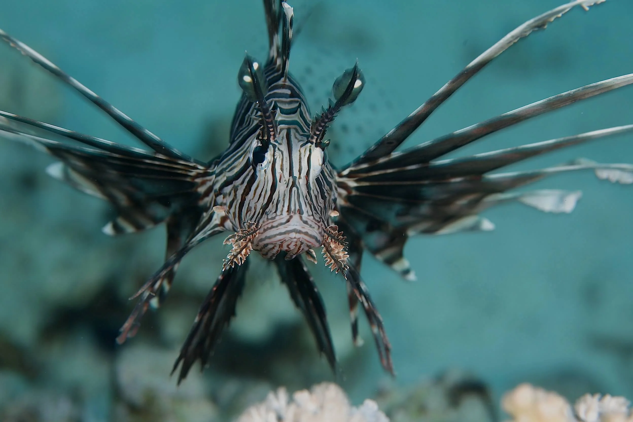 marsa_alam8[1] 2.JPG