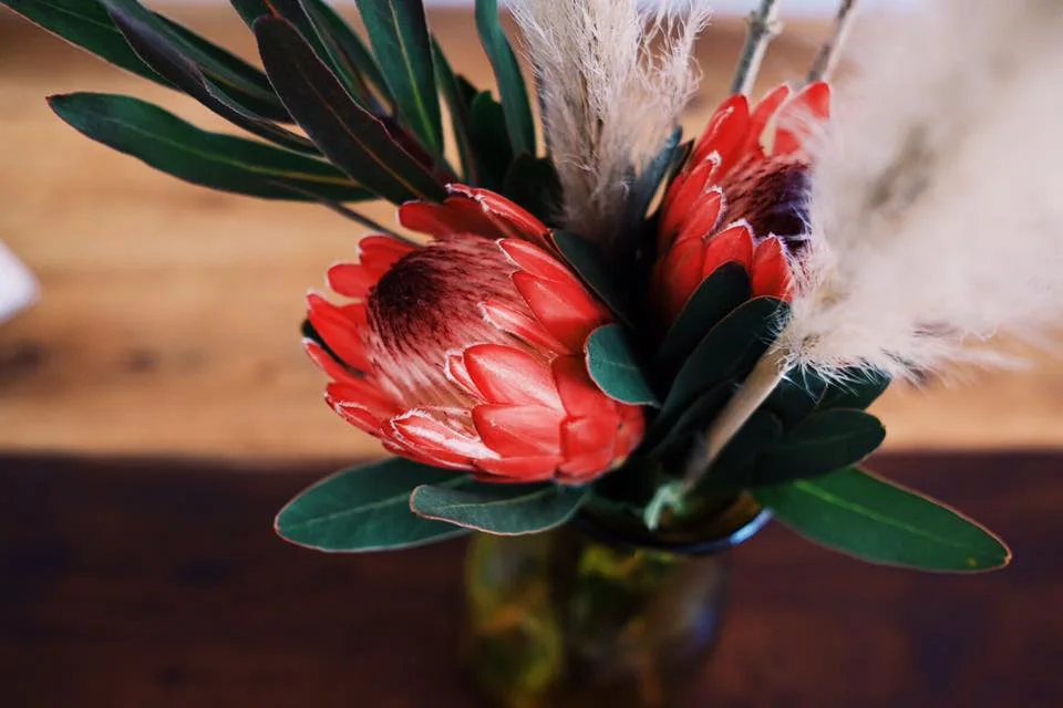 baby-shower-protea-in-the-boo-mirboo-north-boo-events.jpg