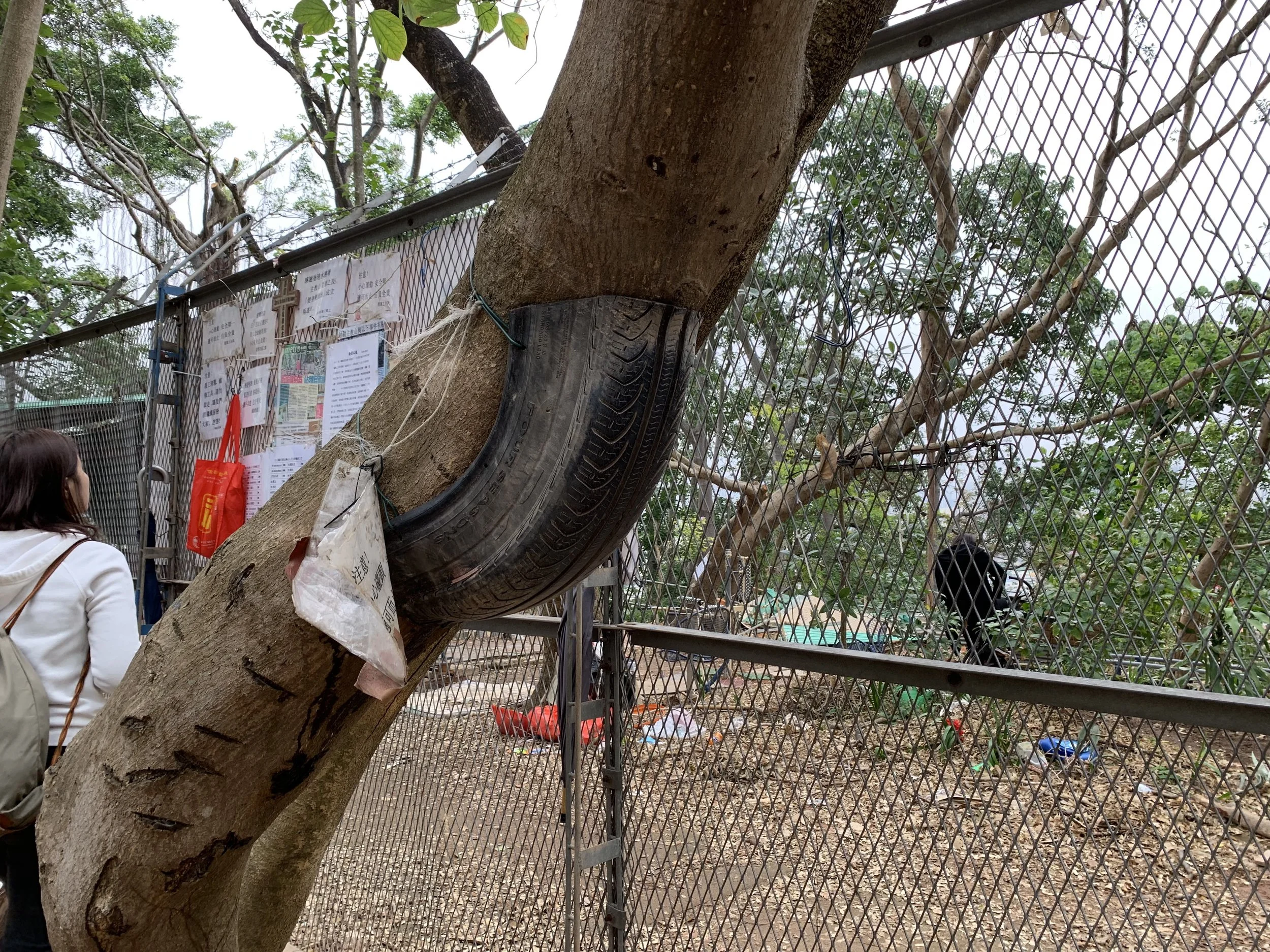 Parts of an old tire is placed on the tree opposite the swing for you to kick yourself higher
