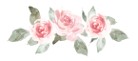 line break resized tiny.jpg