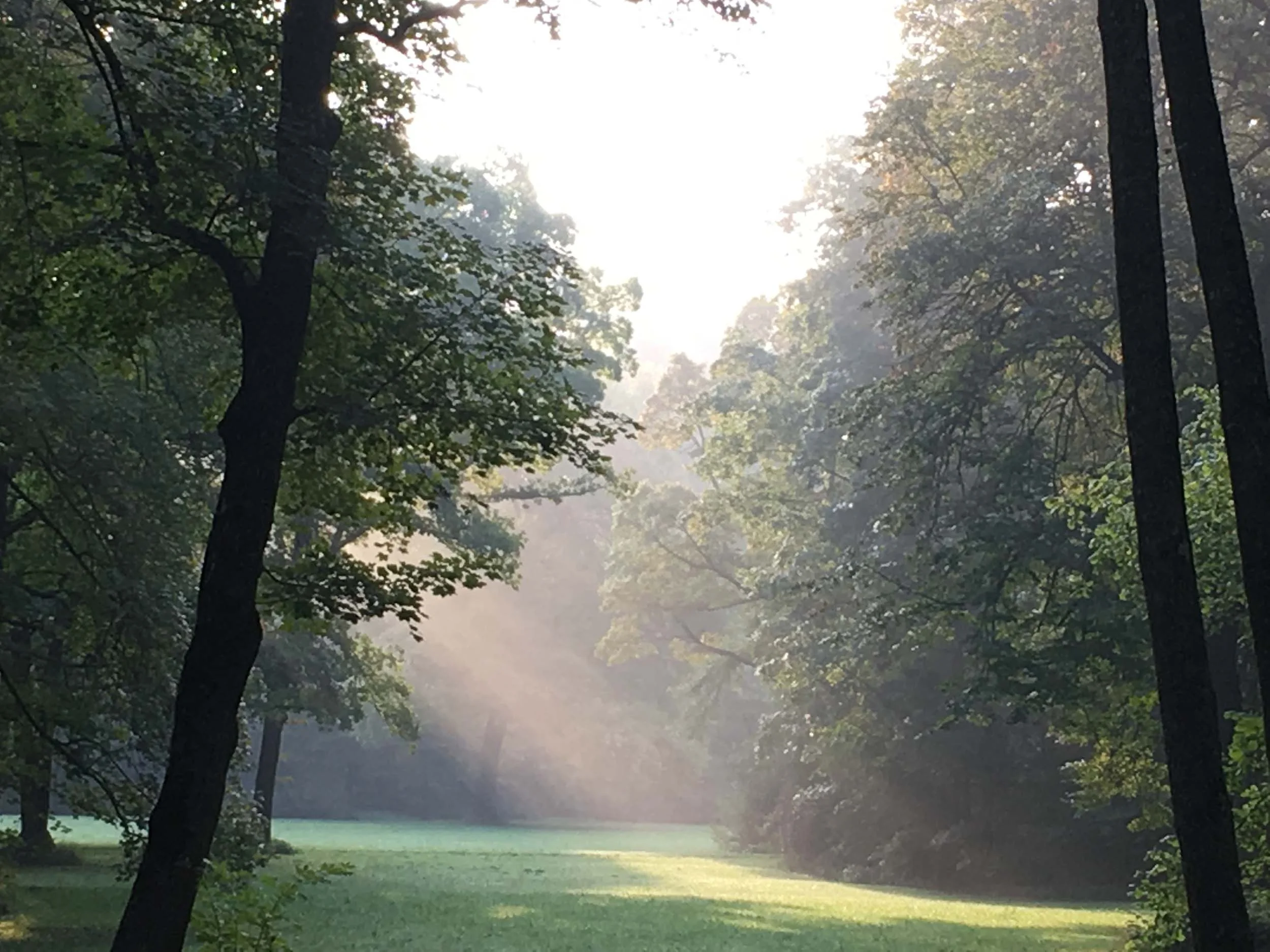 Energy Tune UP October 2016 – Silence and Space