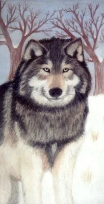 wolf.JPG