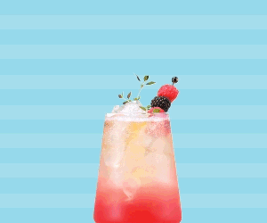 TWN-300x250-V1.gif