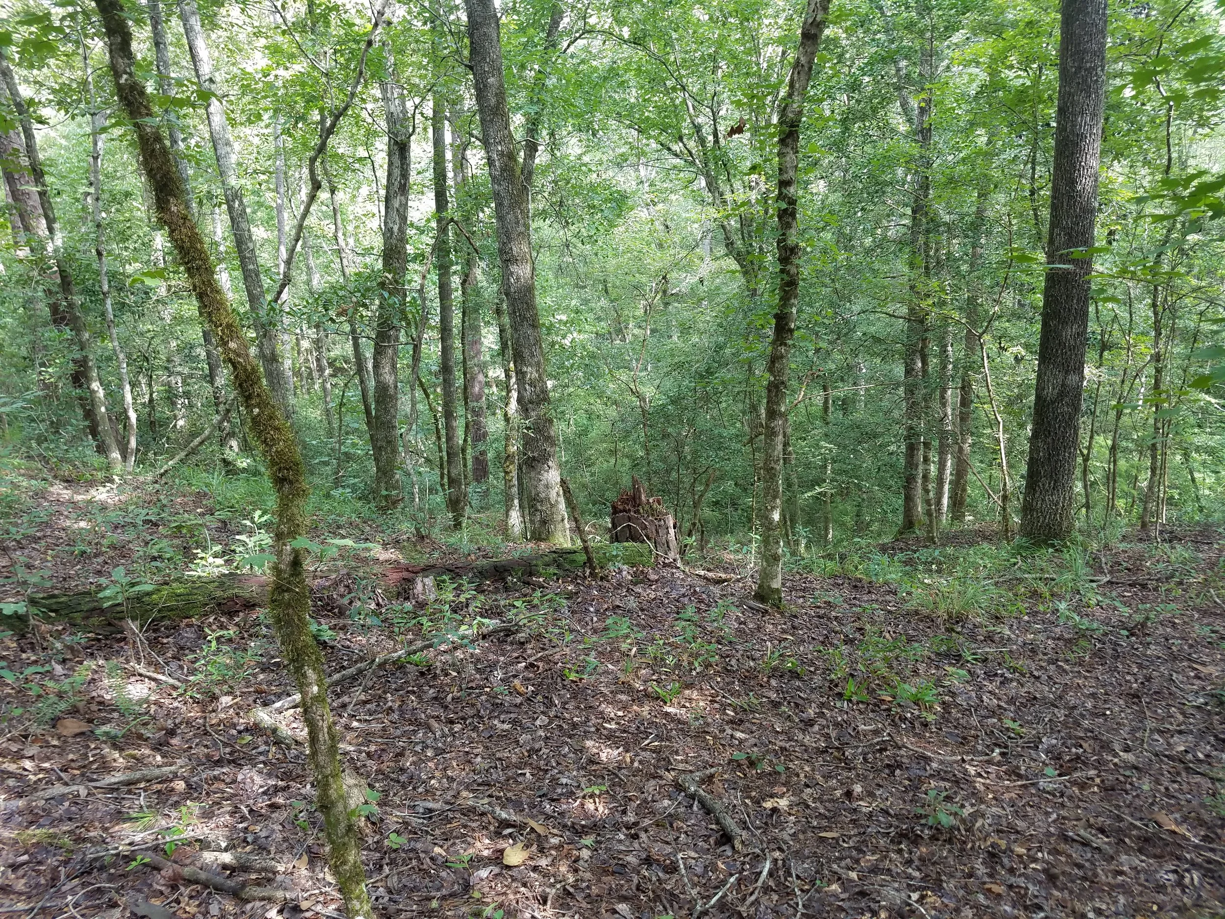 20180825_110510.jpg
