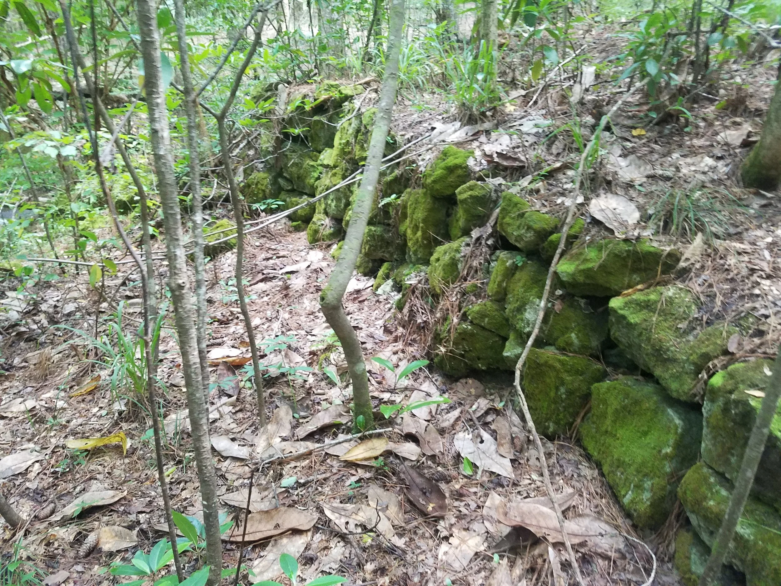 20180825_132326.jpg