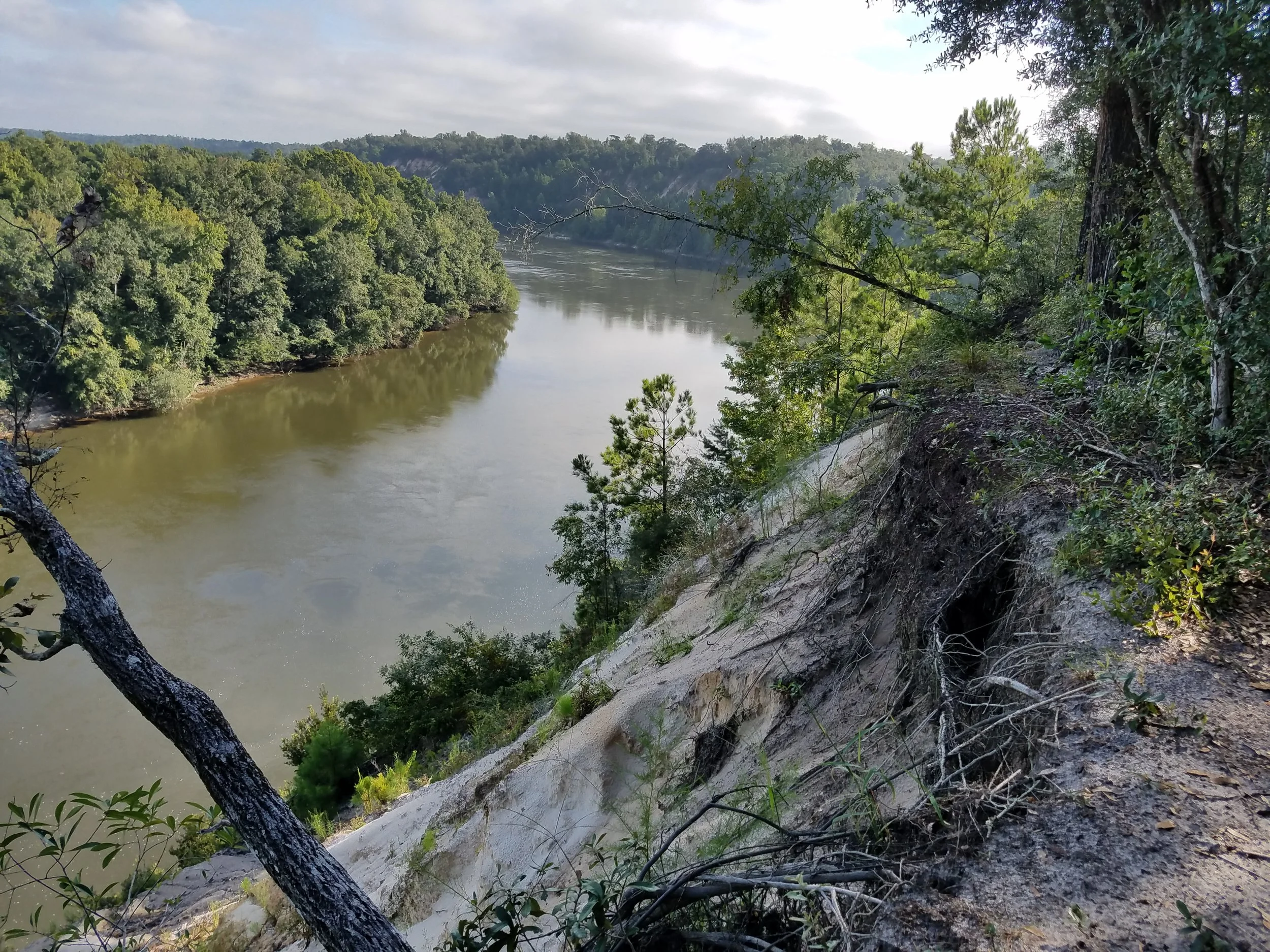 20180827_094416.jpg