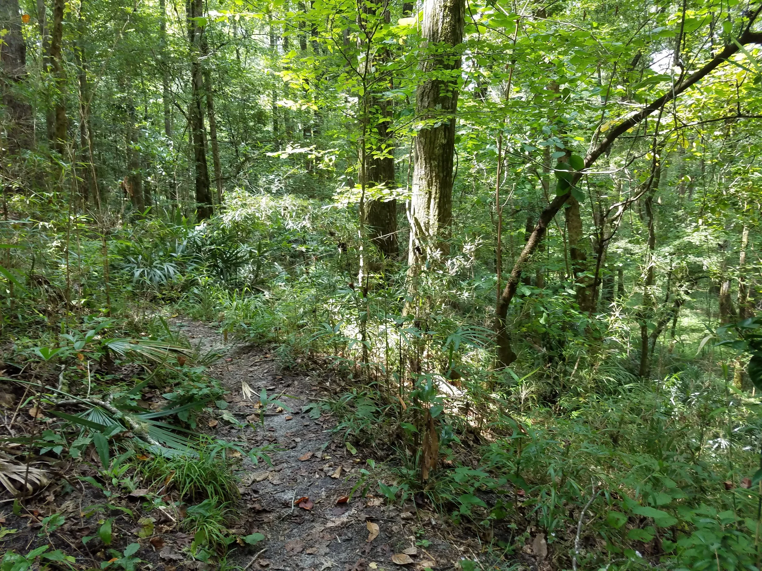 20180824_122358.jpg