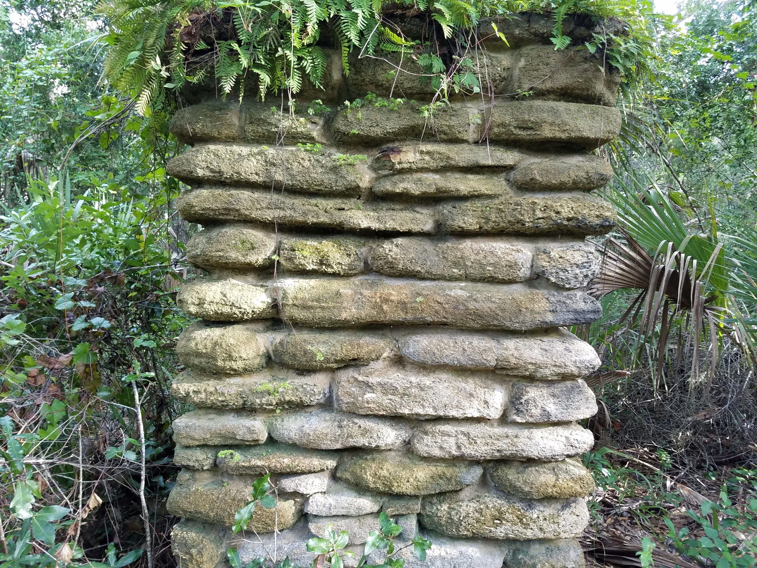 20180905_085454.jpg