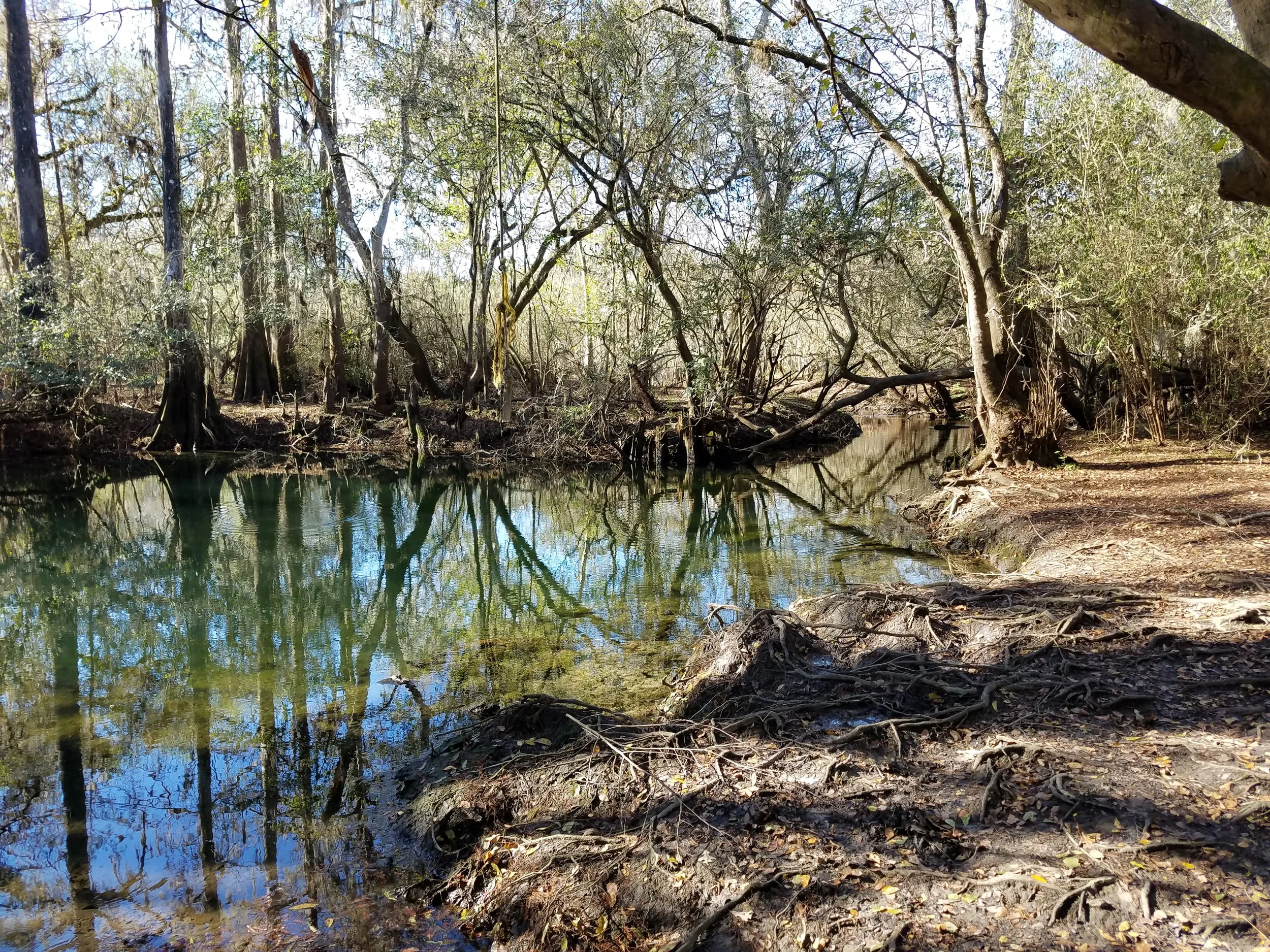 20171210_140603.jpg