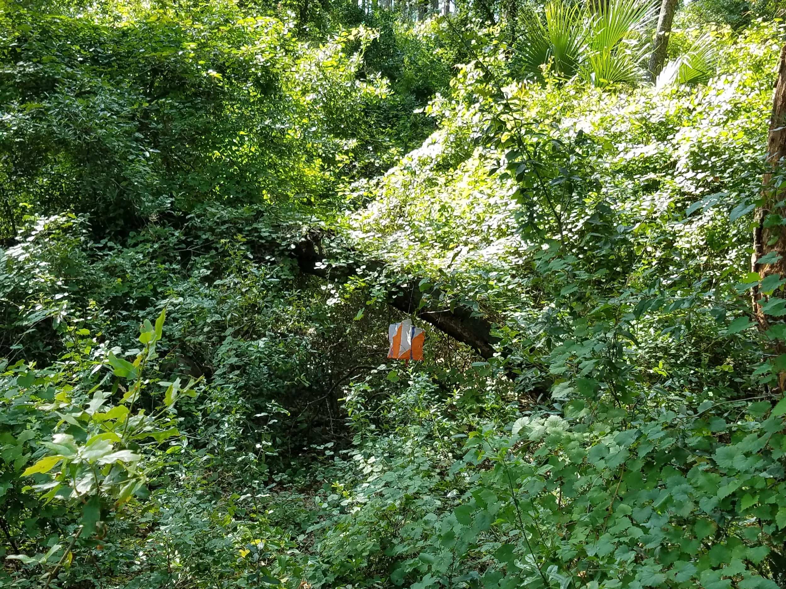 20180713_102302.jpg