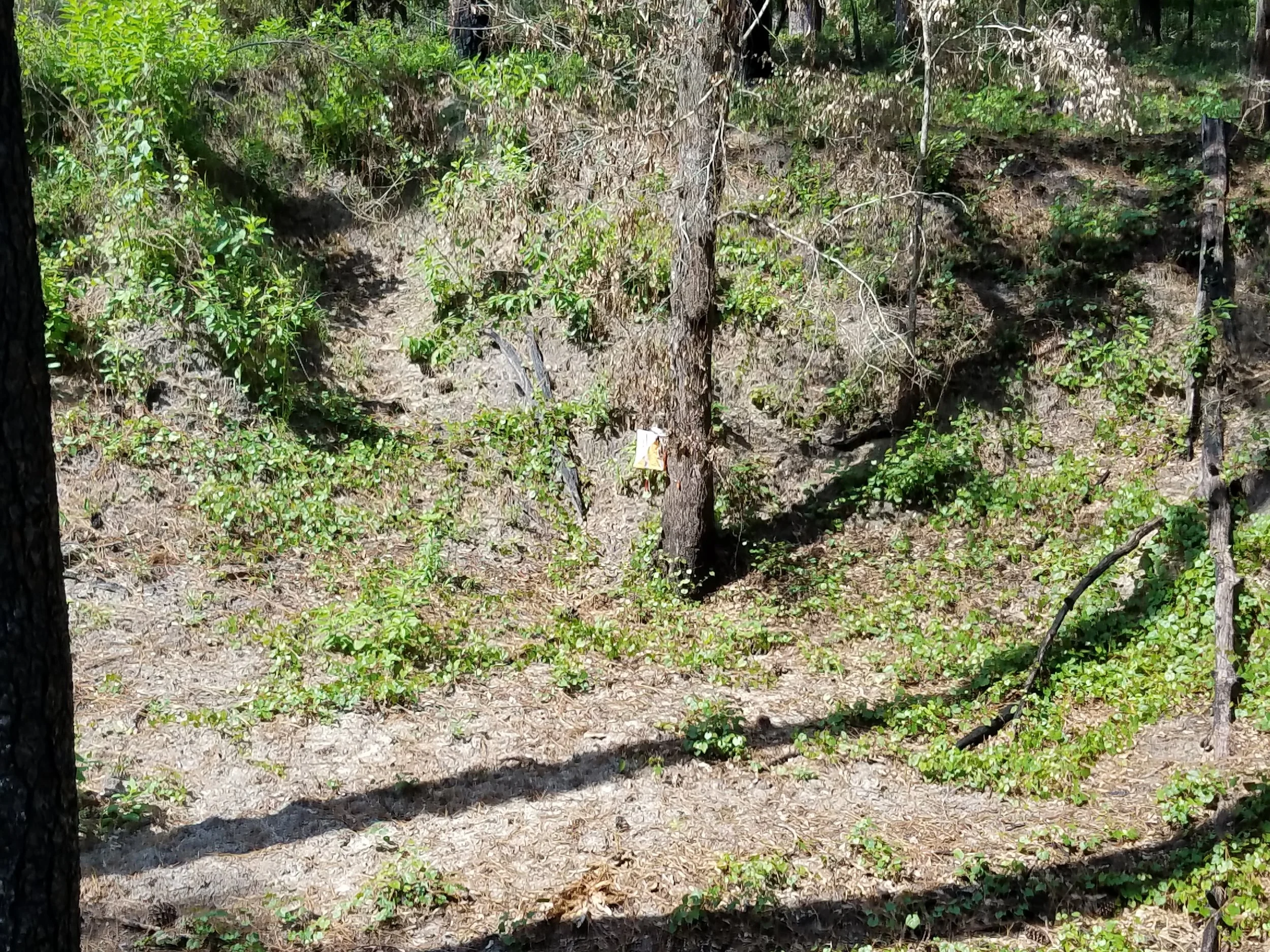 20180713_110143.jpg