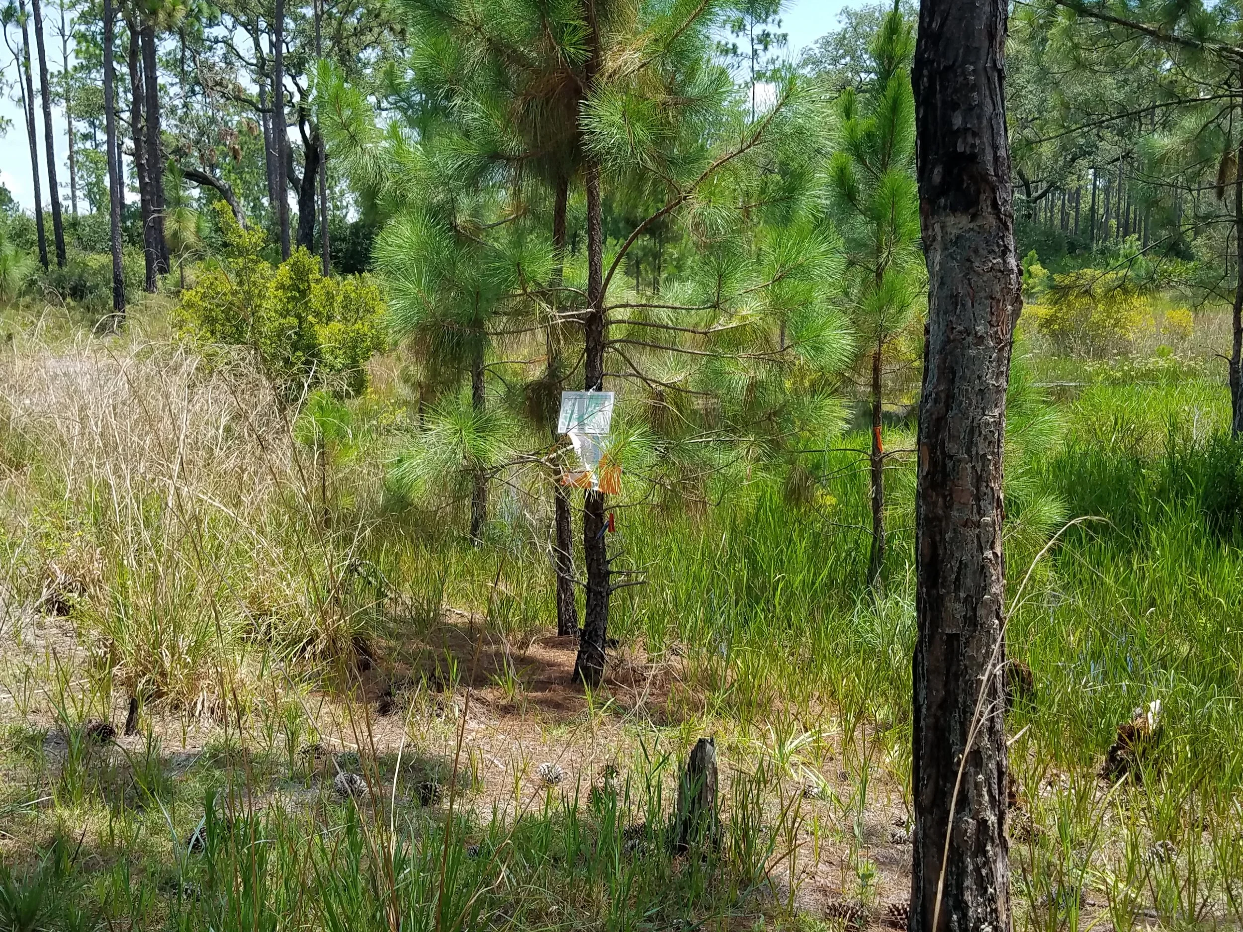 20180713_124609.jpg
