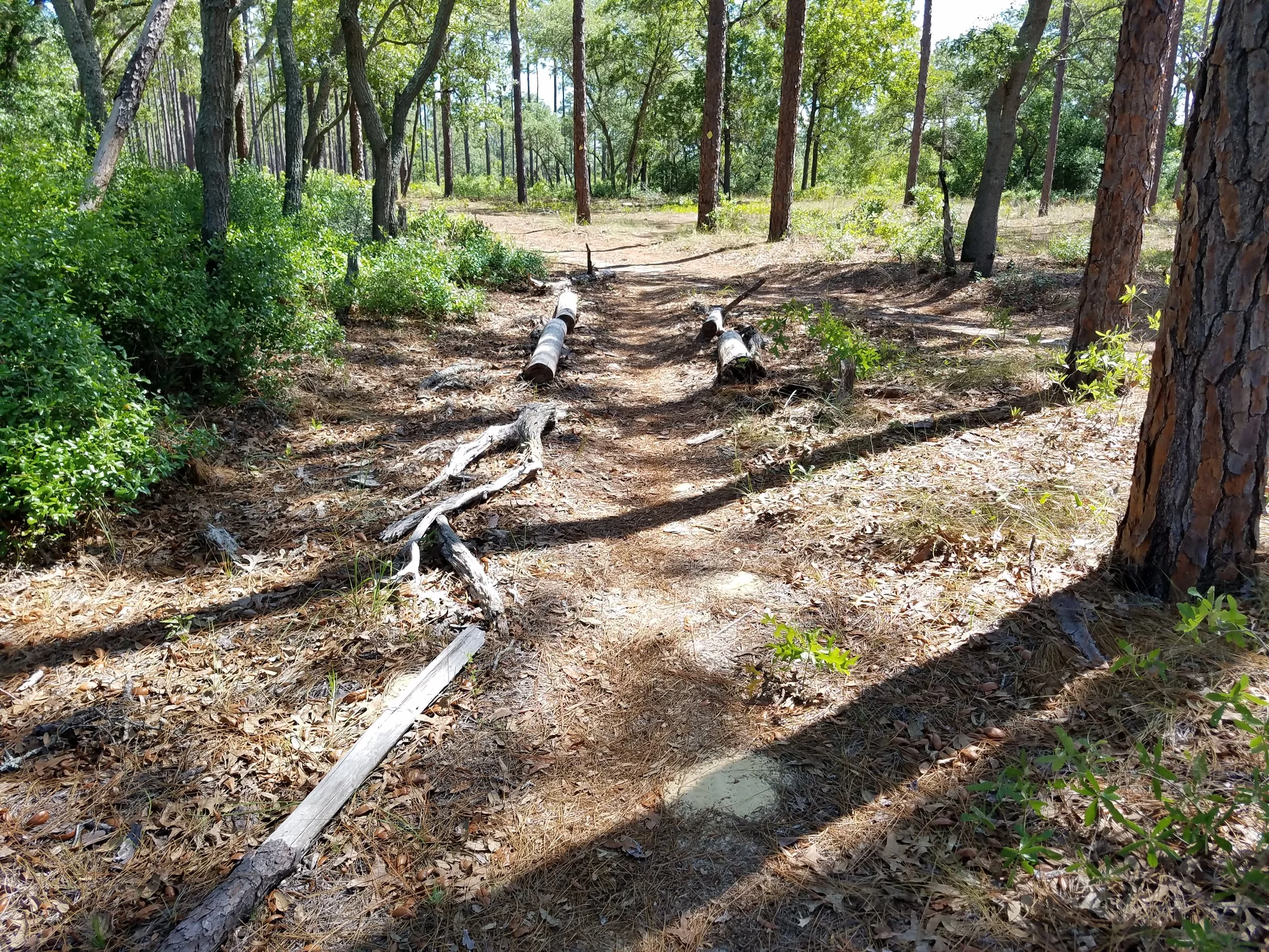 20180504_105029.jpg
