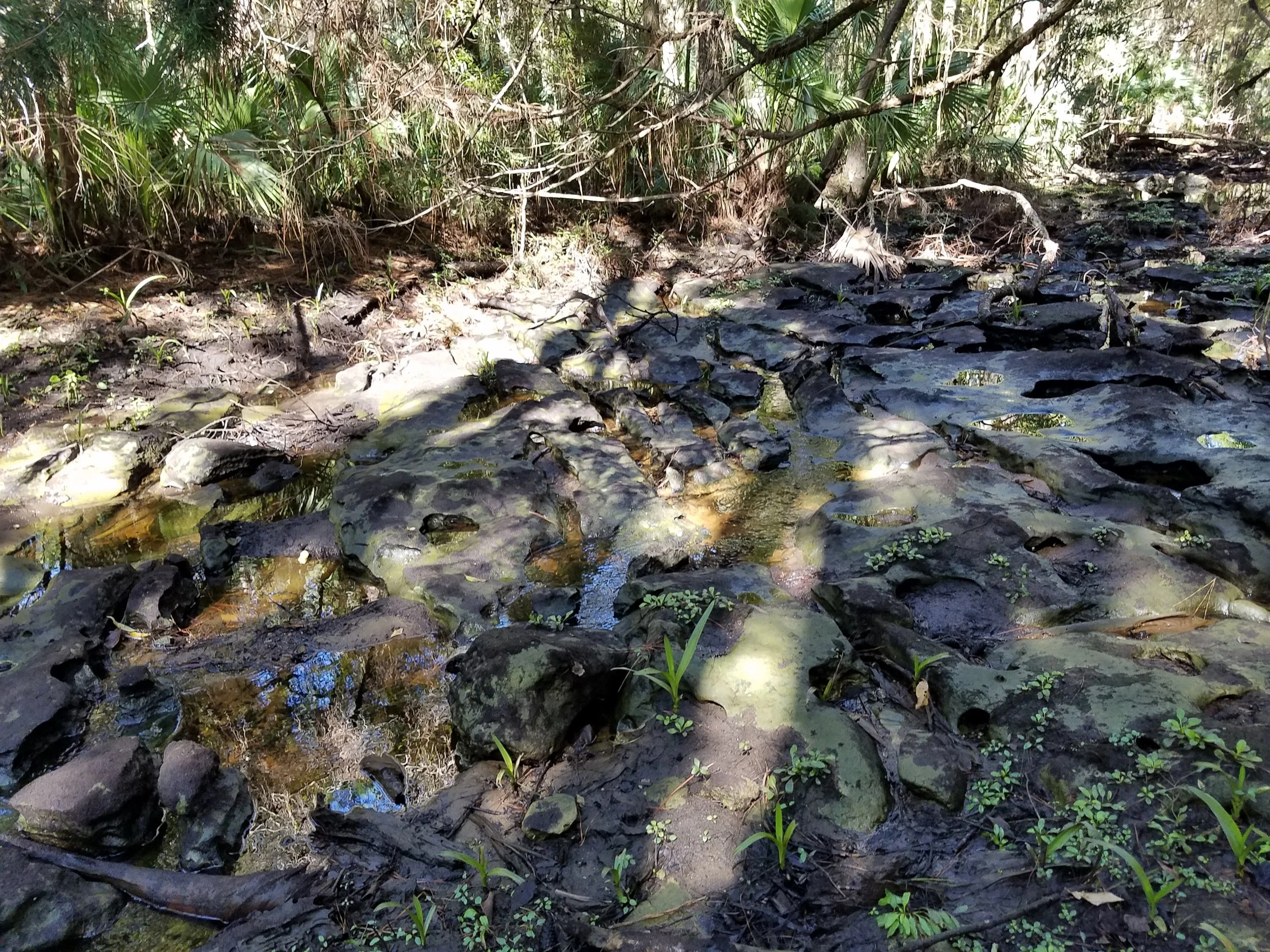20181031_131650.jpg