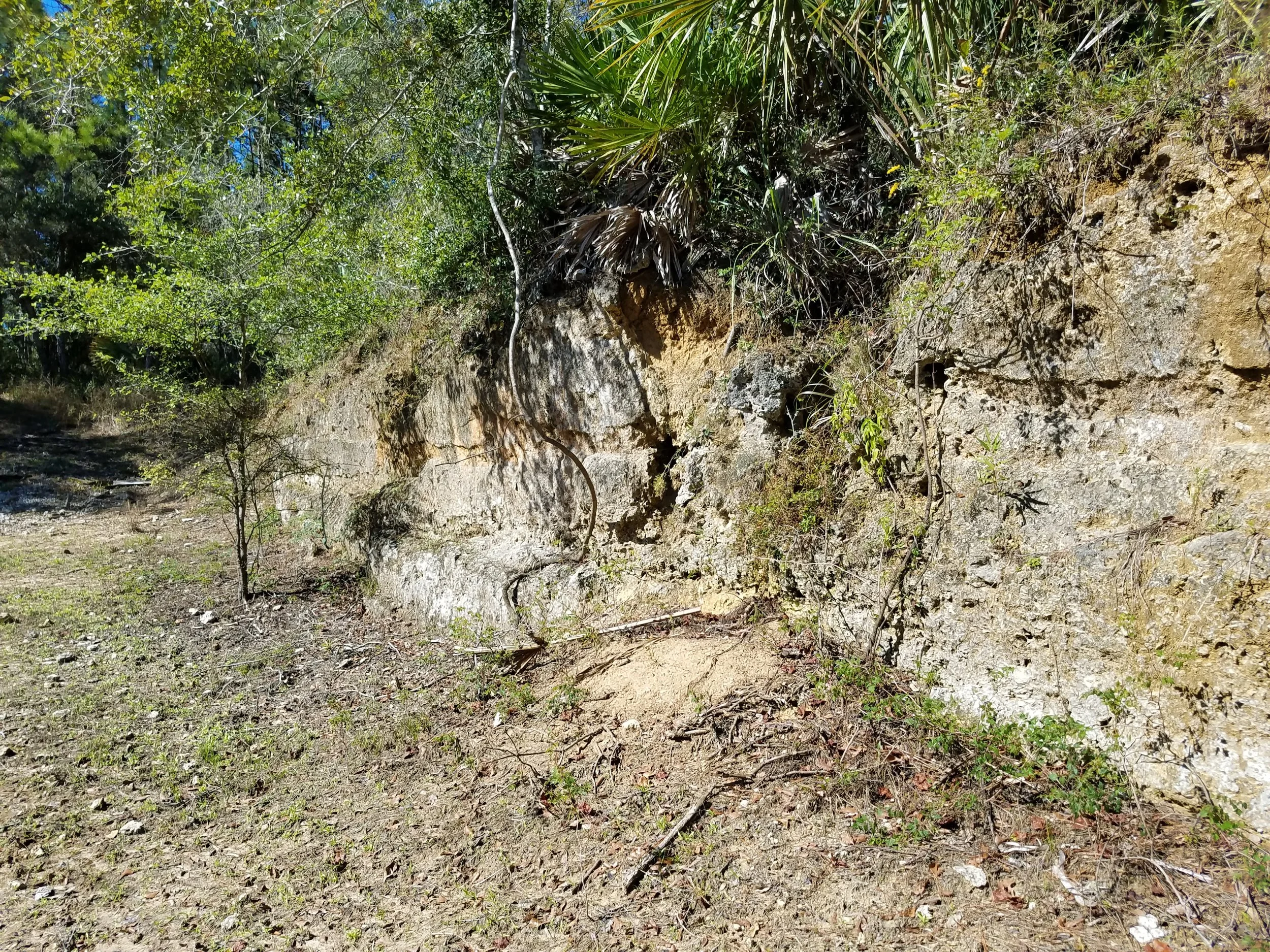 20181031_144228.jpg