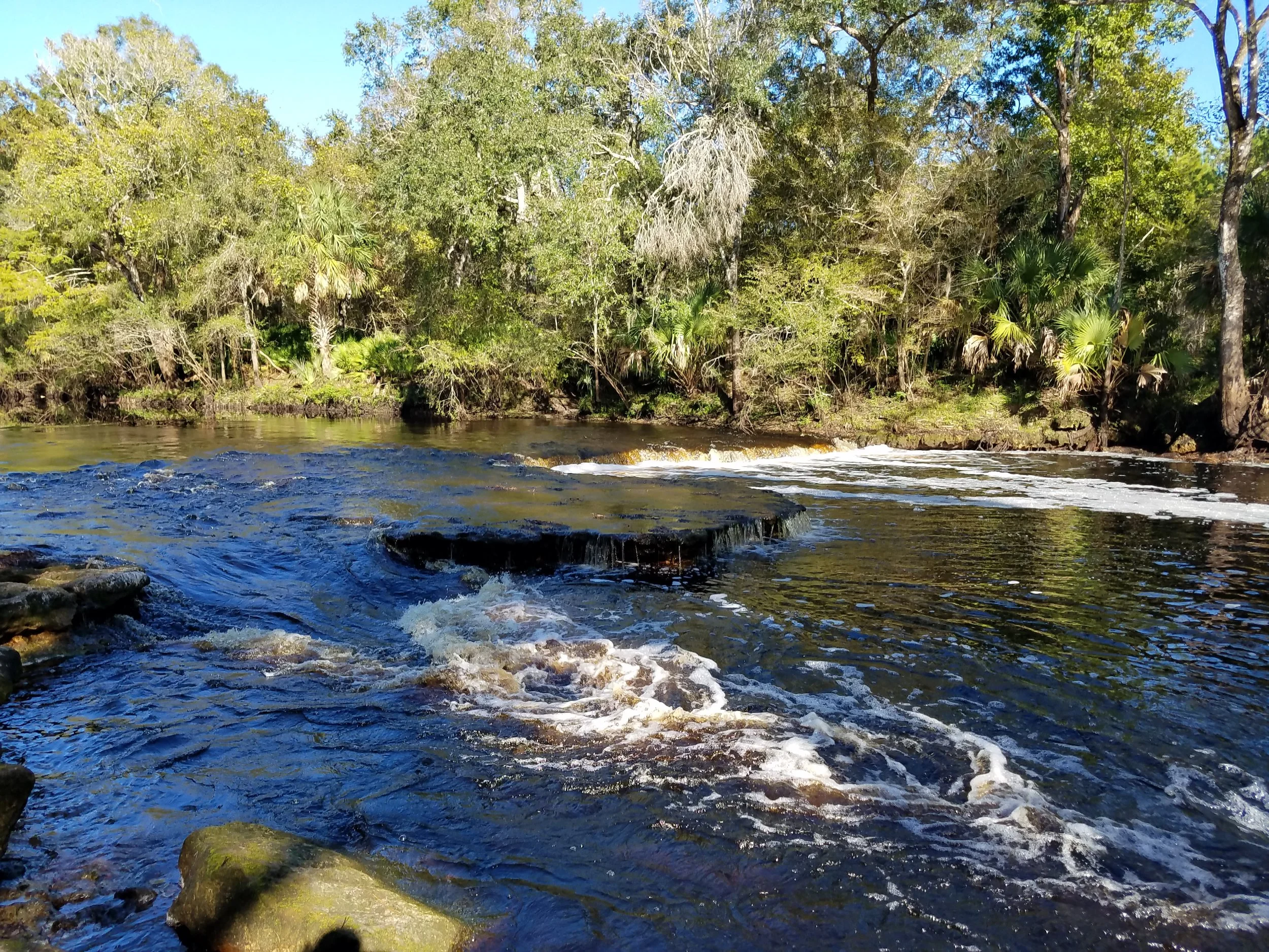 20181031_155844.jpg