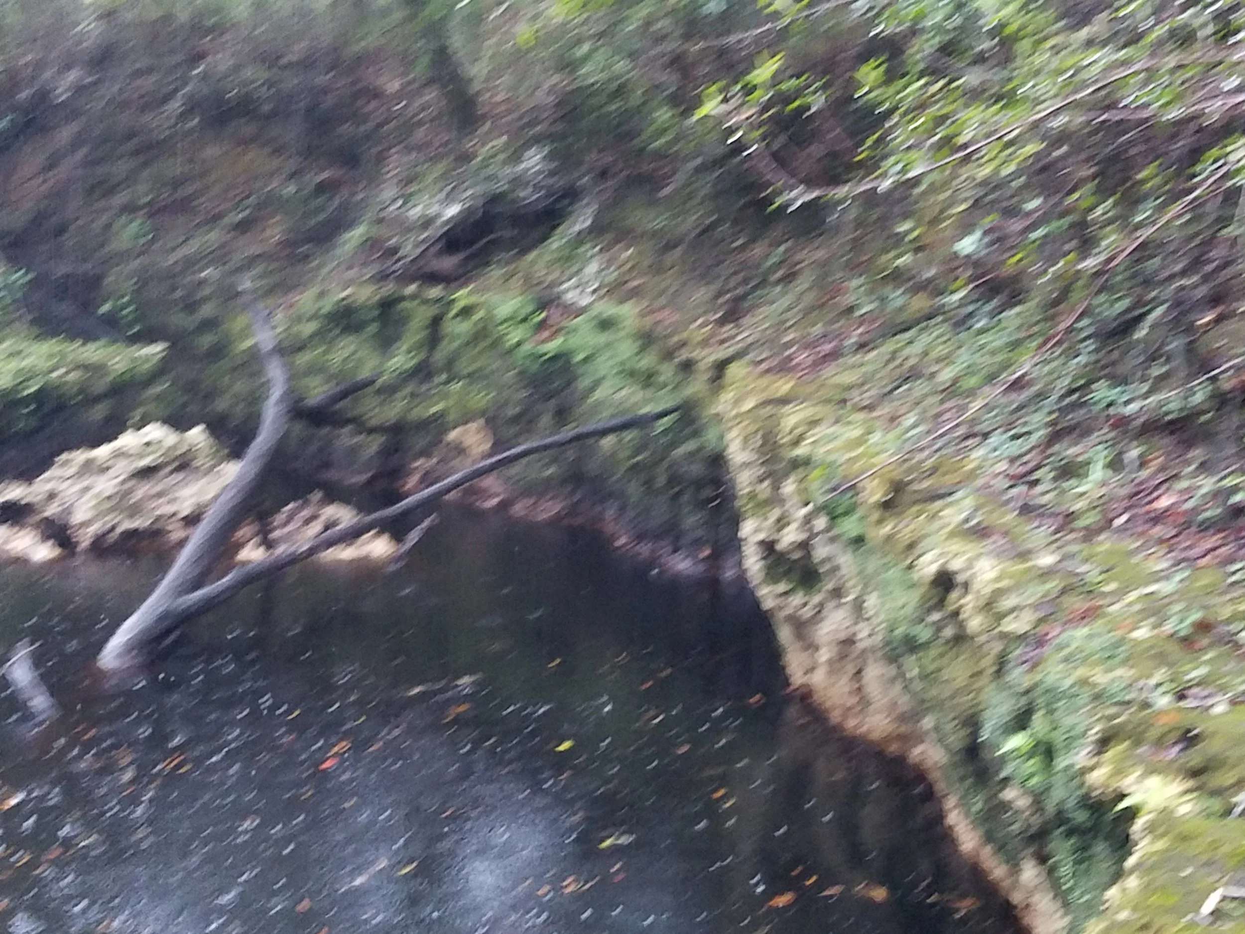 20181102_133322.jpg