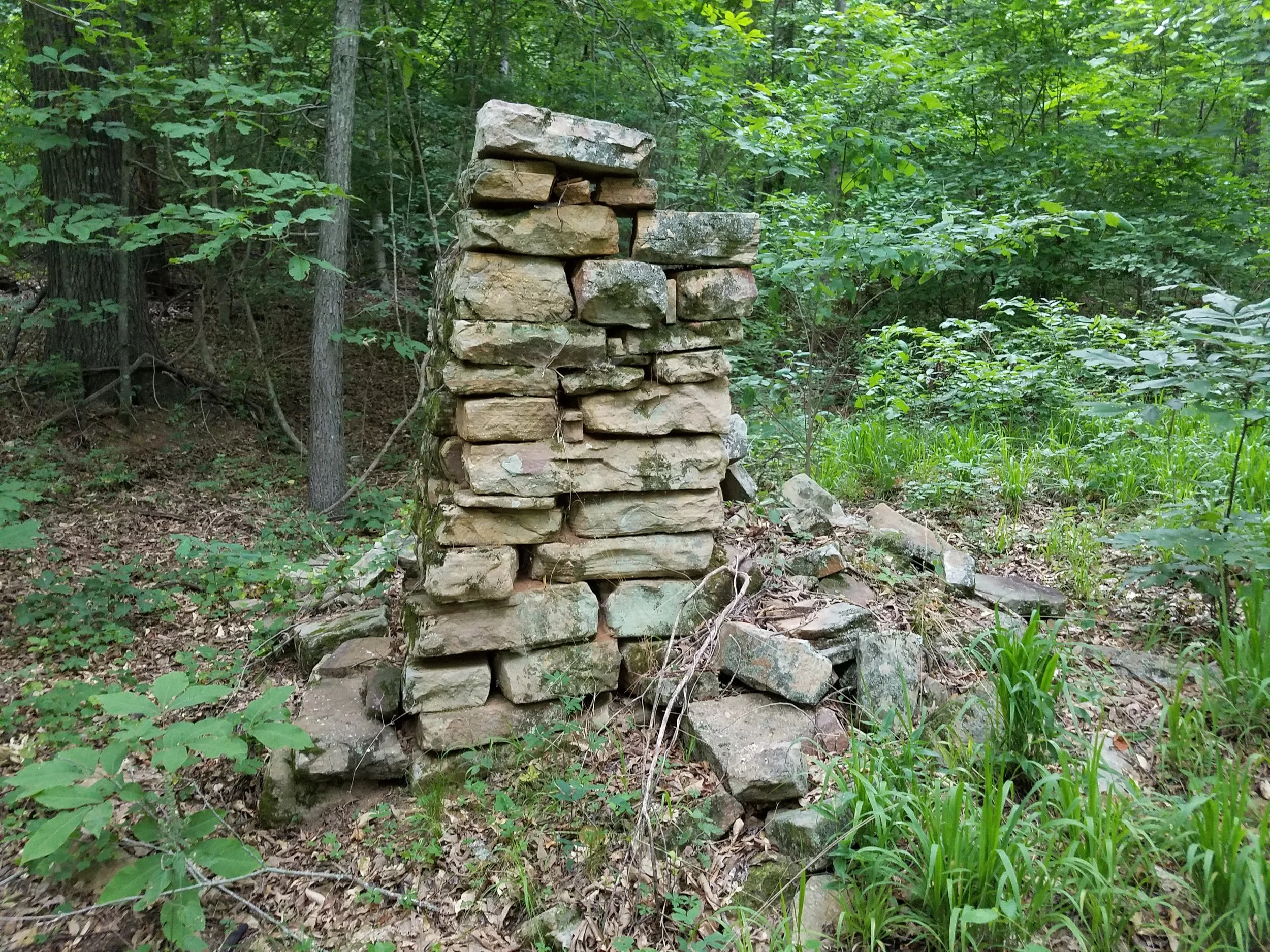 20190605_082253.jpg